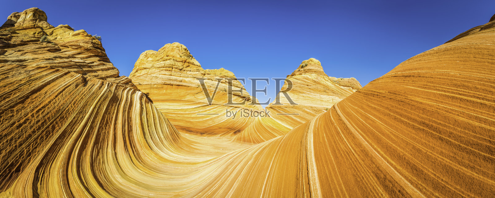 波标志性的沙漠地层，金砂岩，狼巴茨亚利桑那州照片摄影图片