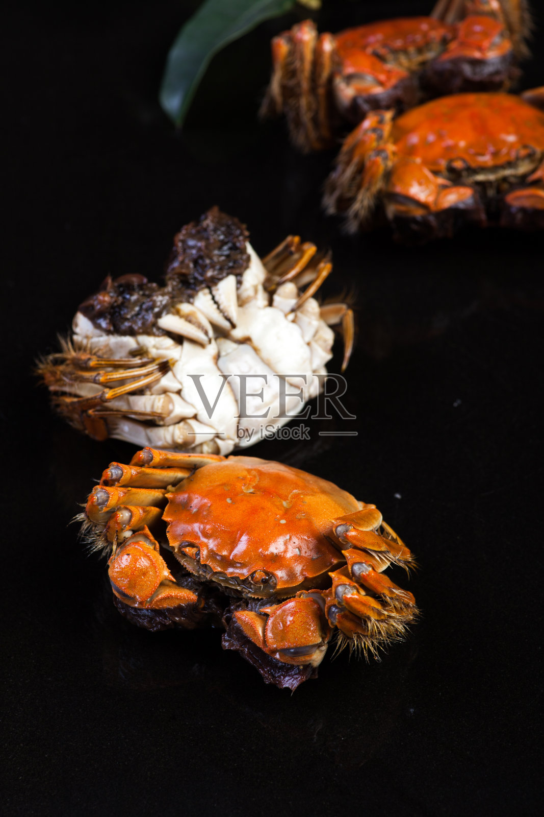 中国的螃蟹照片摄影图片