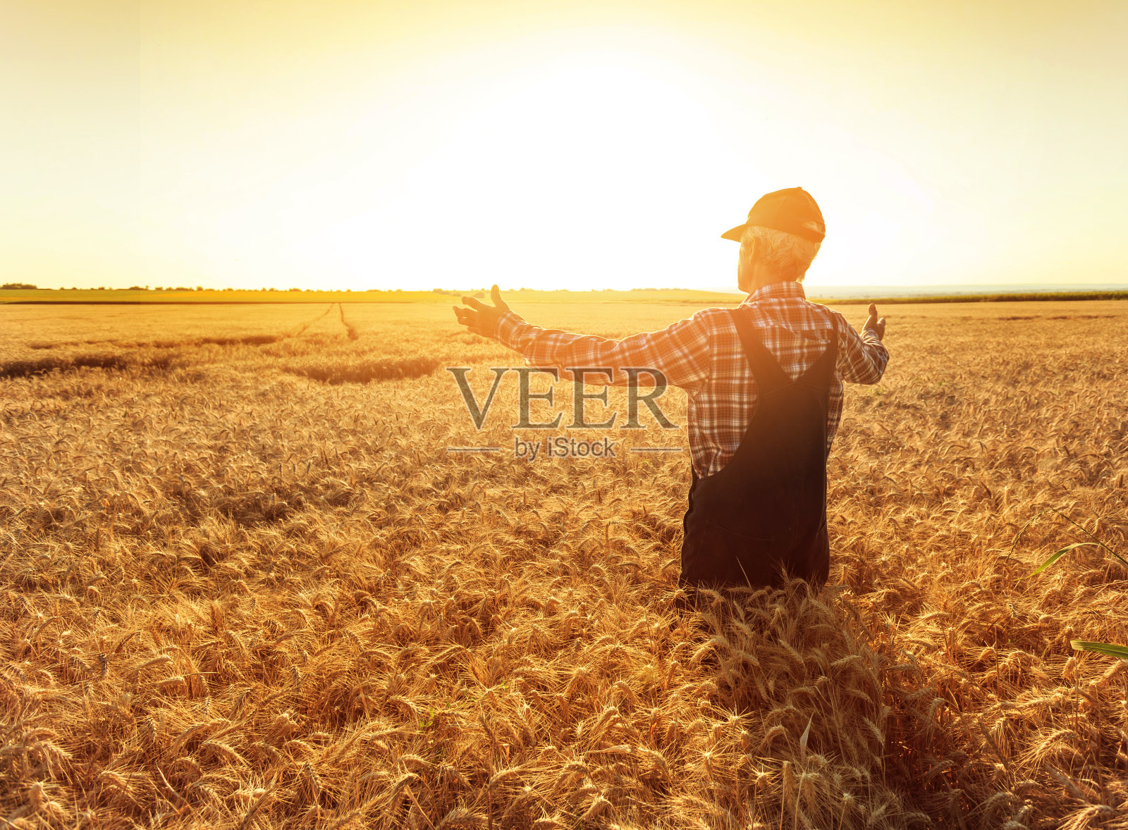 一个成熟的农民站在他的麦田中间照片摄影图片