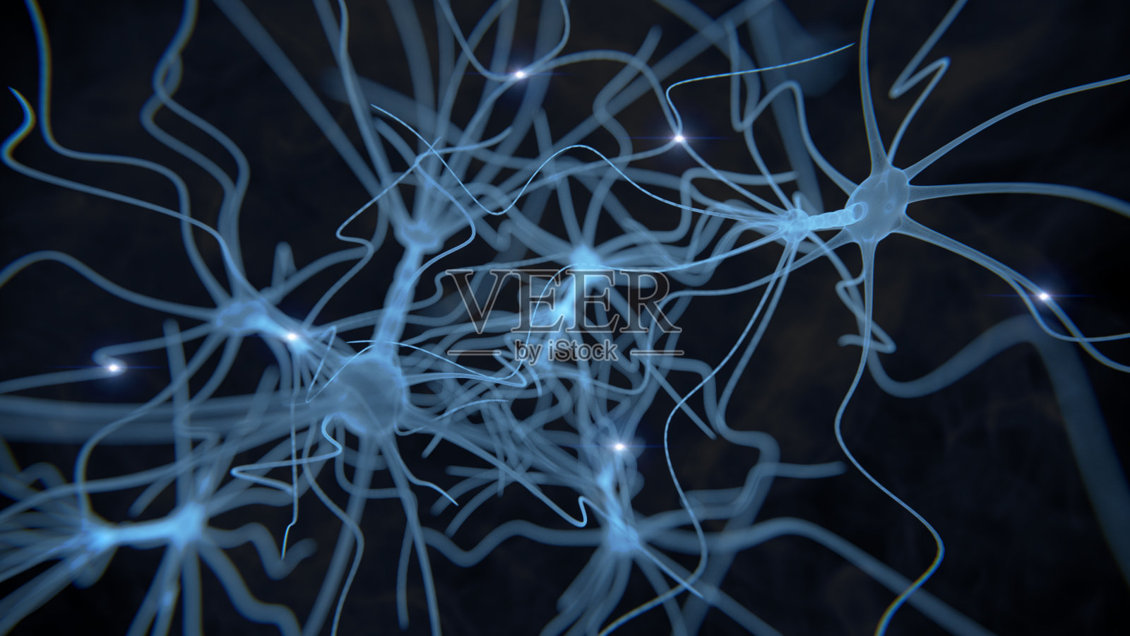 神经元细胞网络在黑色照片摄影图片