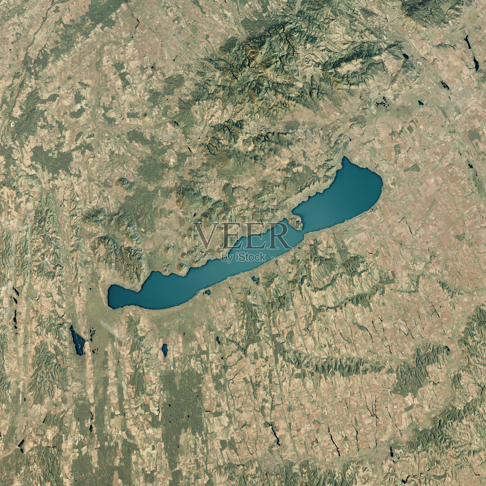 巴拉顿湖3D渲染卫星视图地形图照片摄影图片