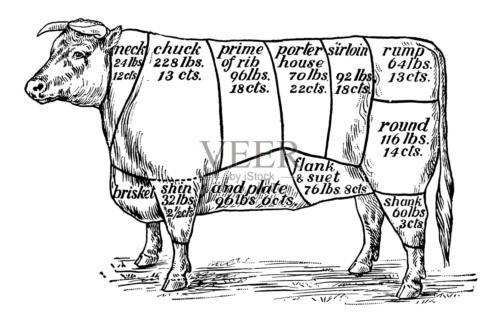 牛肉块(白色分离)插画图片素材