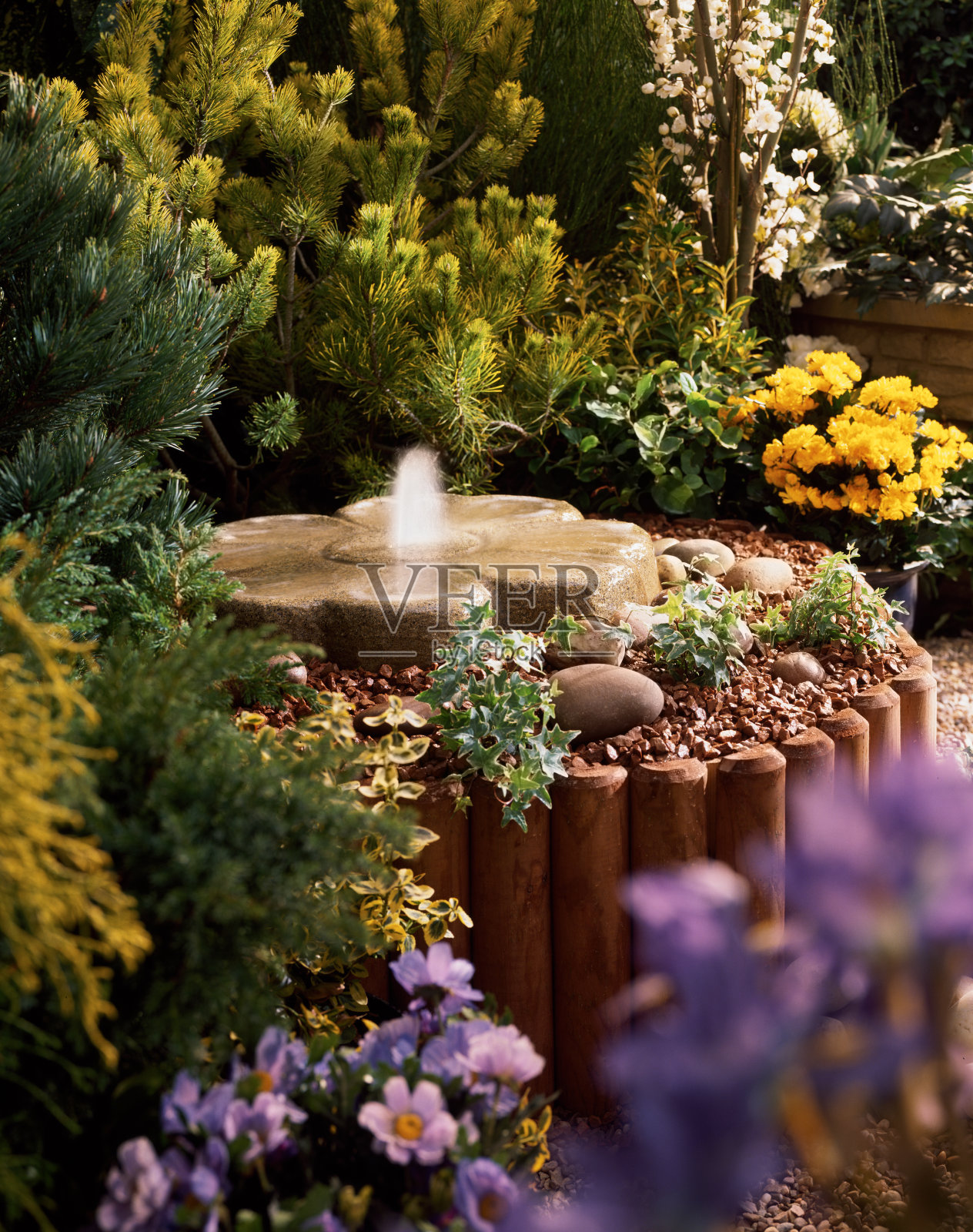 美丽的喷泉在五颜六色的花园花坛照片摄影图片