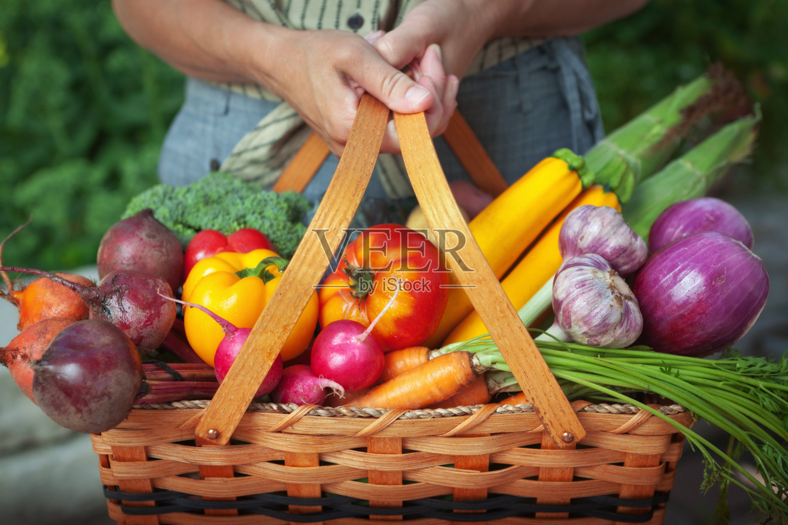蔬菜园篮子的新鲜食物收获从有机园艺照片摄影图片