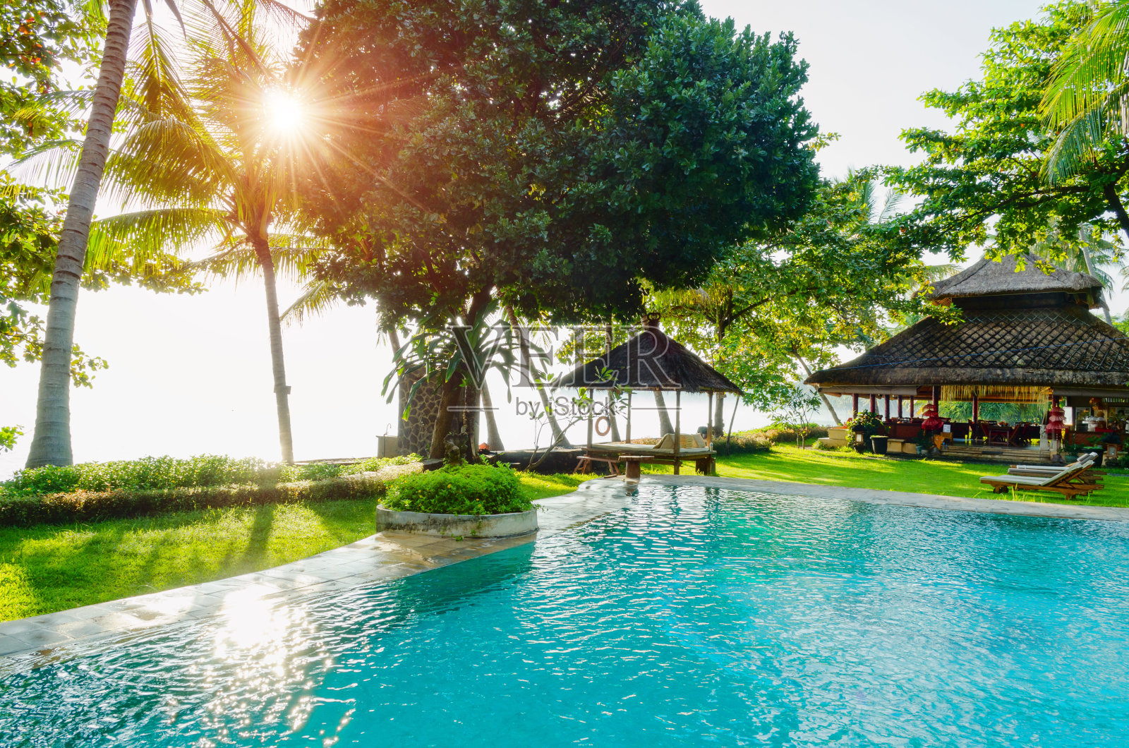 阳光下的巴厘岛棕榈树下的蓝色游泳池照片摄影图片