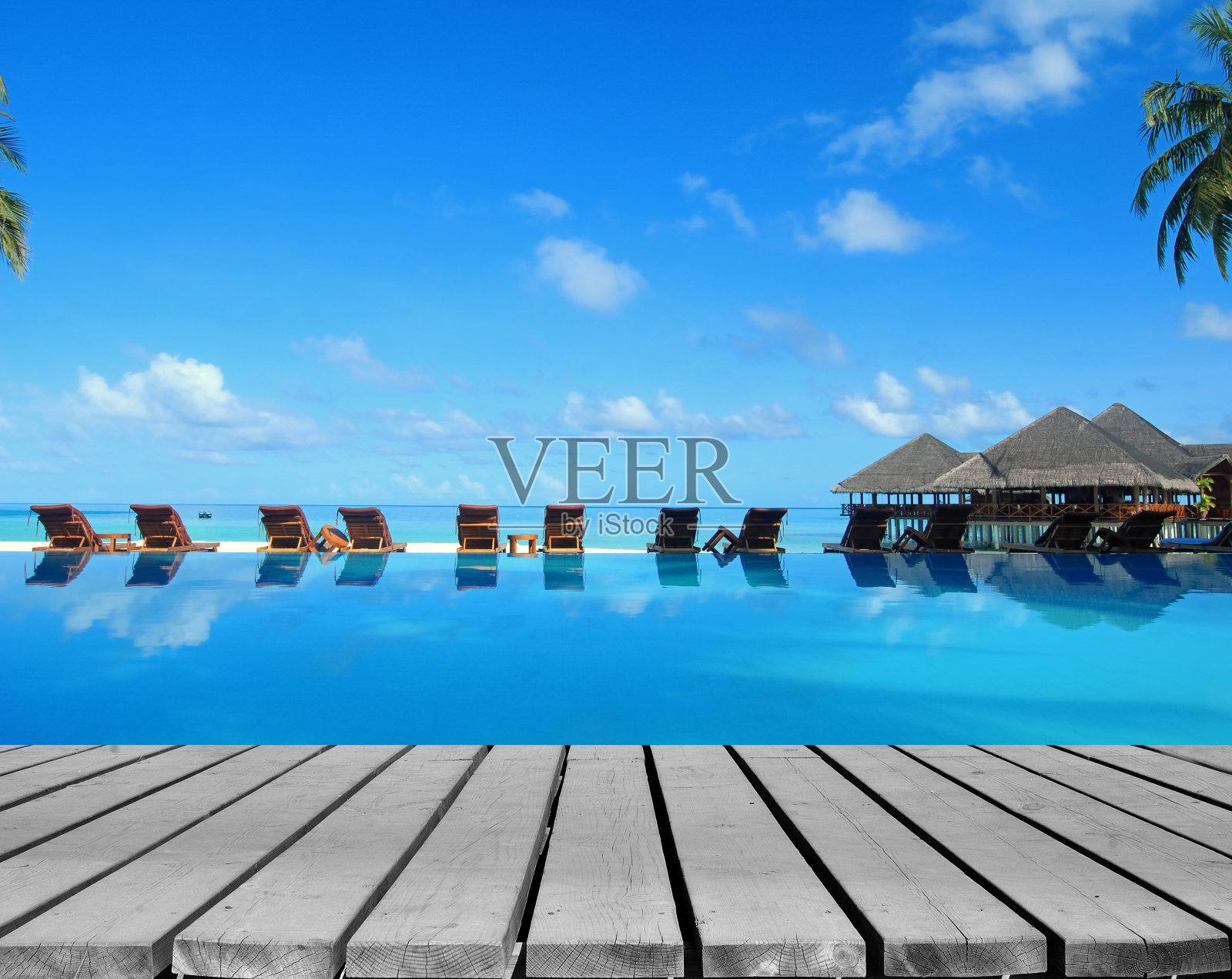 热带度假泳池与木制甲板照片摄影图片