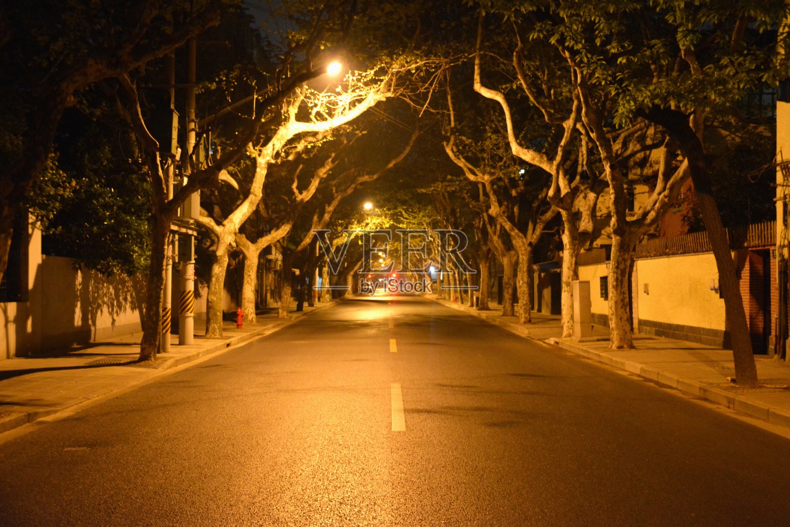 夜深的上海旧法租界大街照片摄影图片