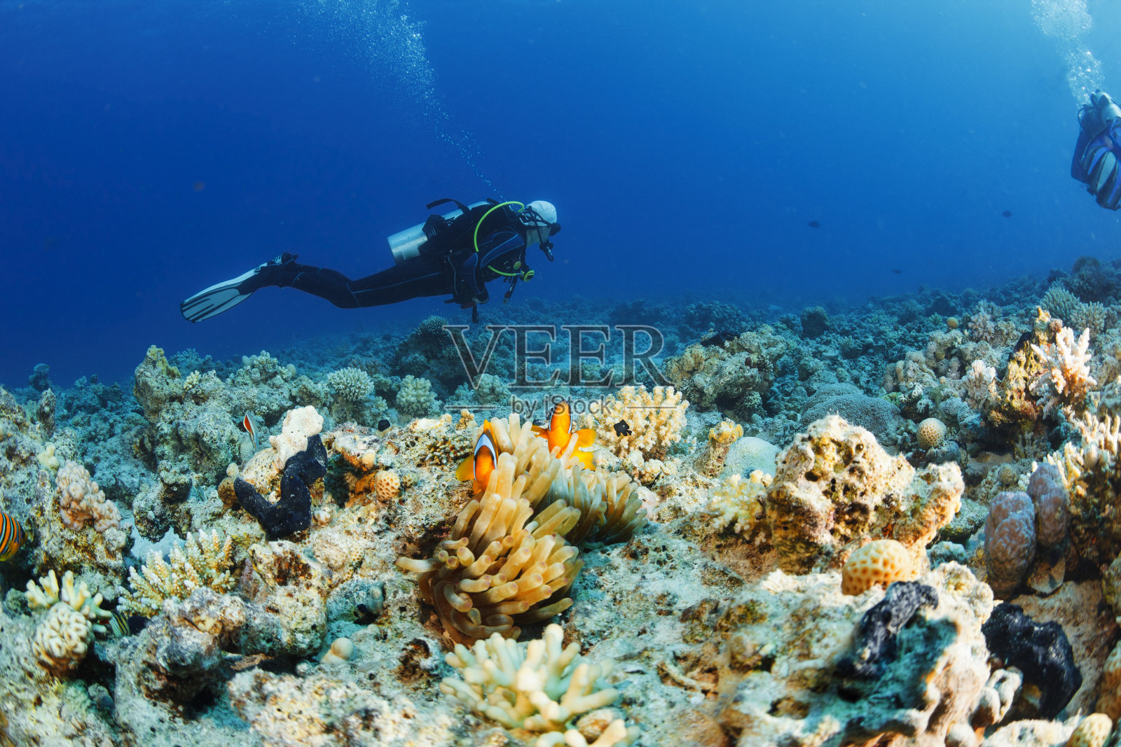 水下场景与水肺潜水员珊瑚和海葵小丑鱼照片摄影图片