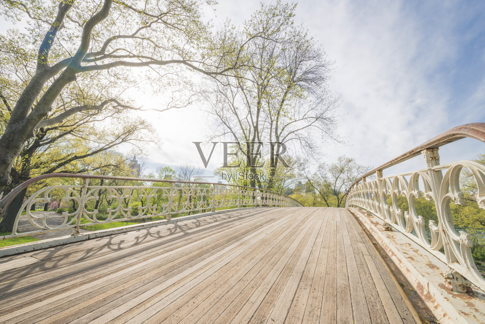 春天的纽约中央公园哥特式桥梁建筑照片摄影图片