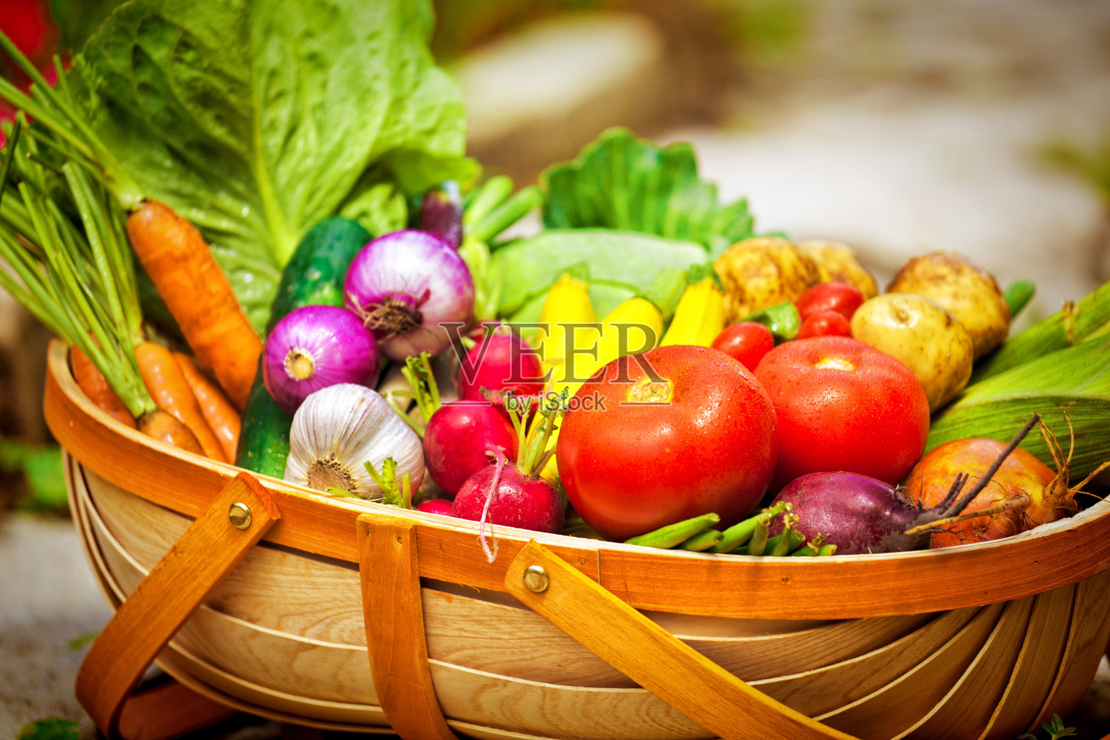 夏季园艺收获新鲜蔬菜在市场篮子照片摄影图片