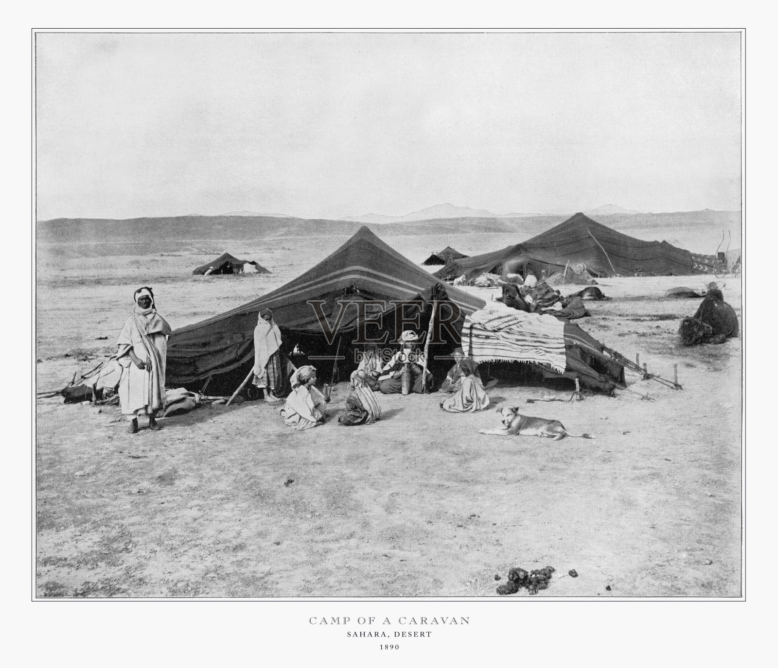 非洲撒哈拉沙漠上的一个大篷车营地，古非洲照片，1893年照片摄影图片
