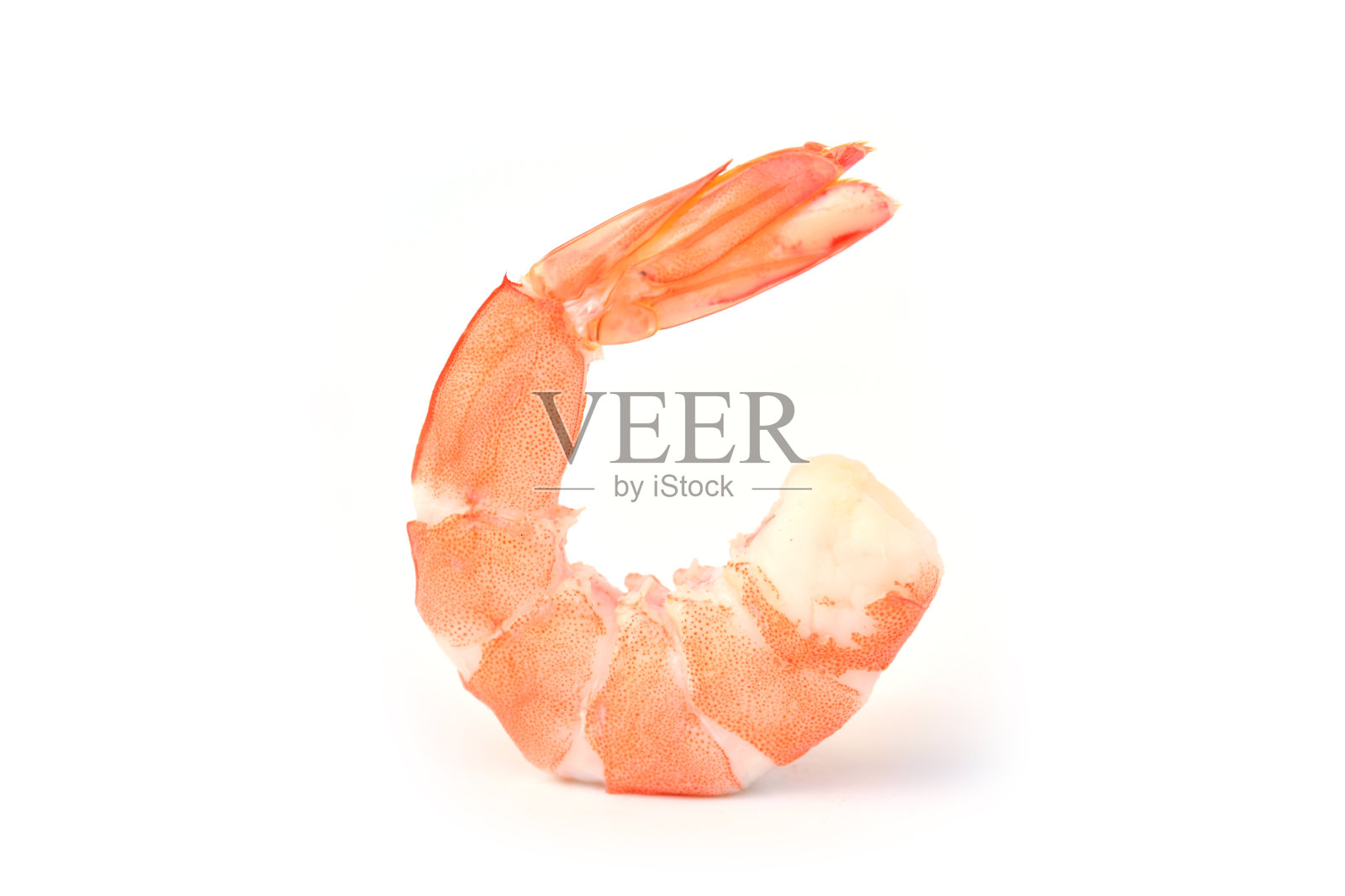 橙色的虾孤立在白色的背景上照片摄影图片