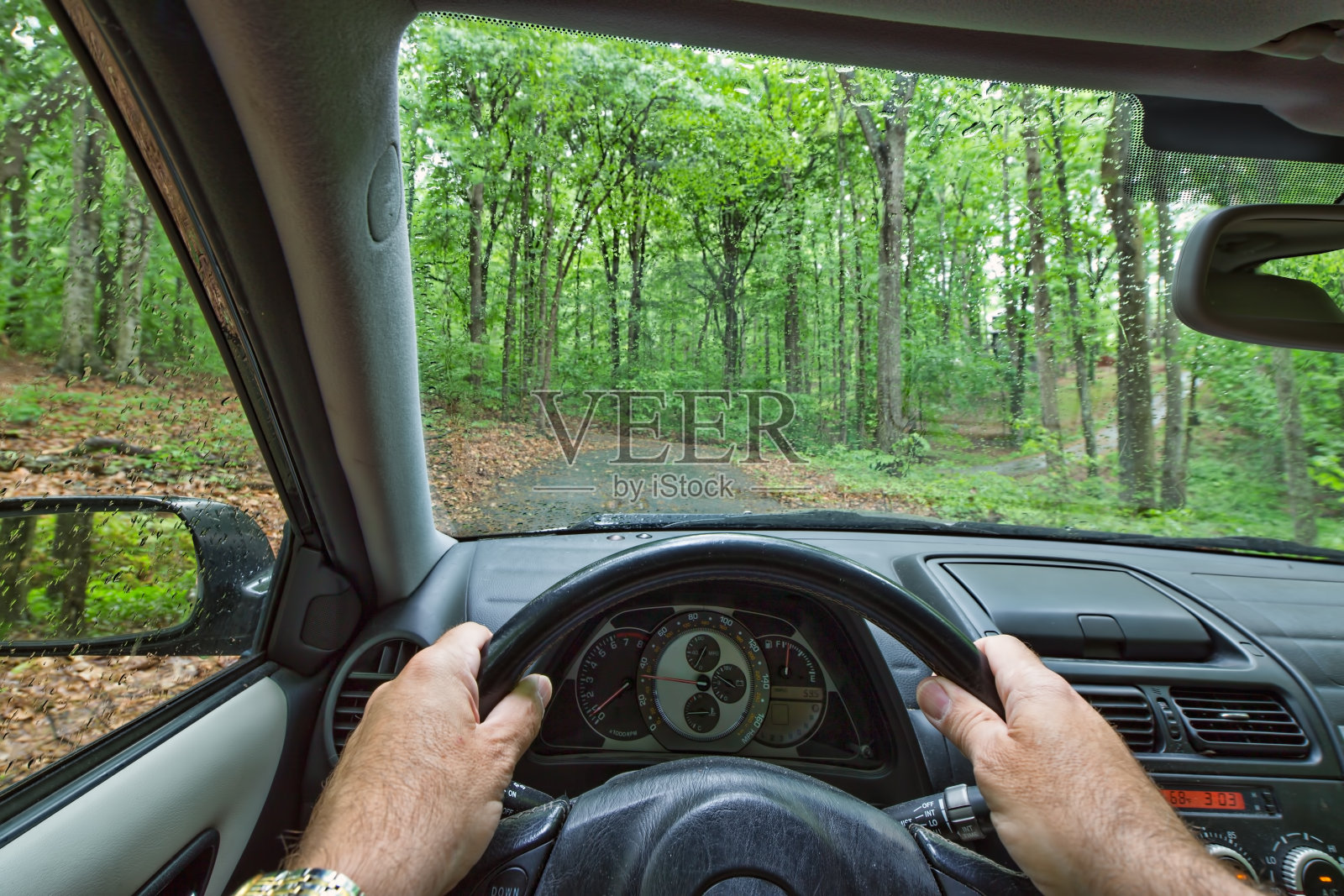 开车穿过森林，司机的视角。照片摄影图片