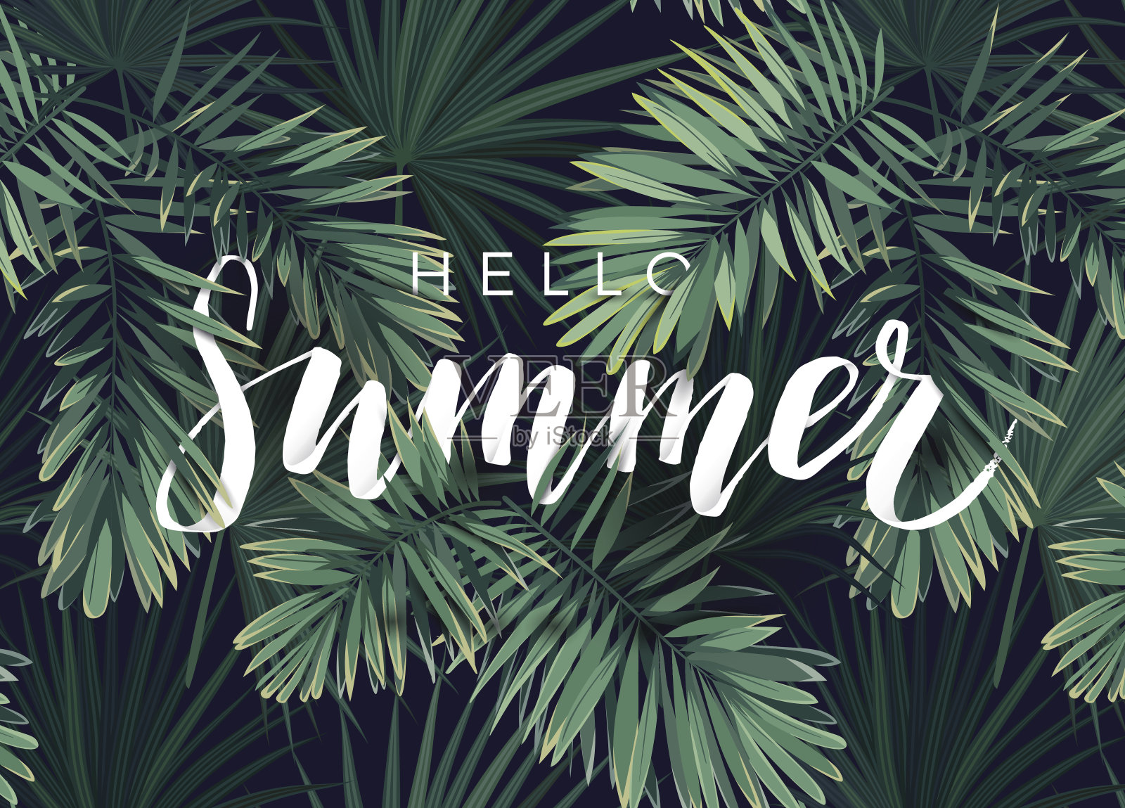 夏季热带矢量书法设计与异国情调的深绿色棕榈叶的背景插画图片素材