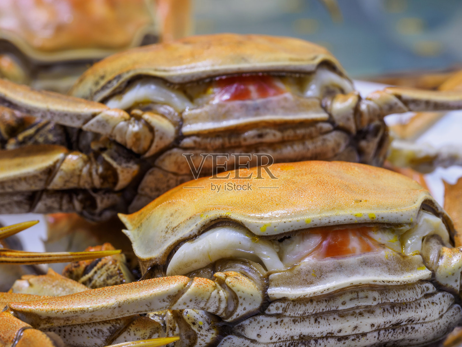 宏大闸蟹，中国美食，秋冬美味。照片摄影图片