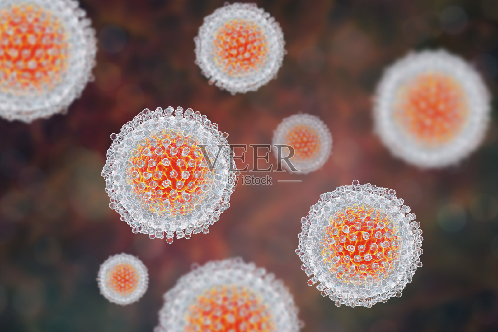 丙型肝炎病毒模型照片摄影图片