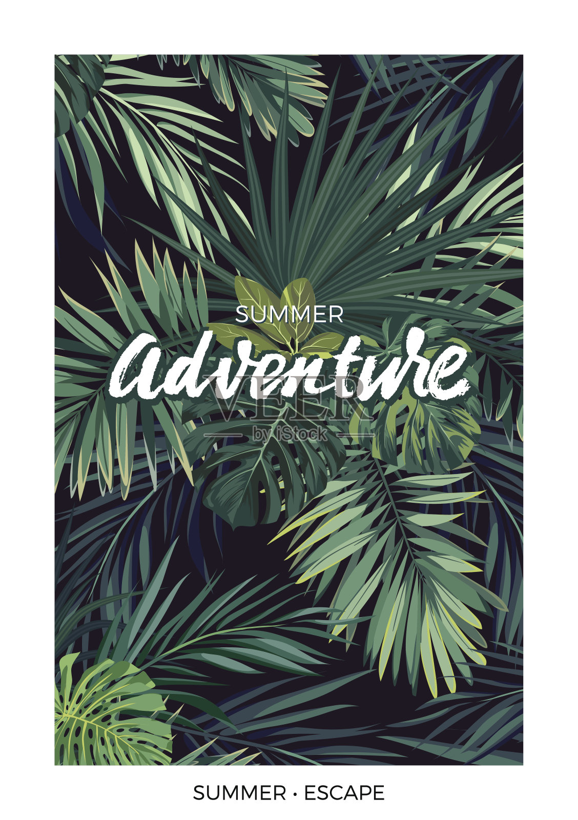 深色矢量热带设计与绿色丛林棕榈叶和字母插画图片素材