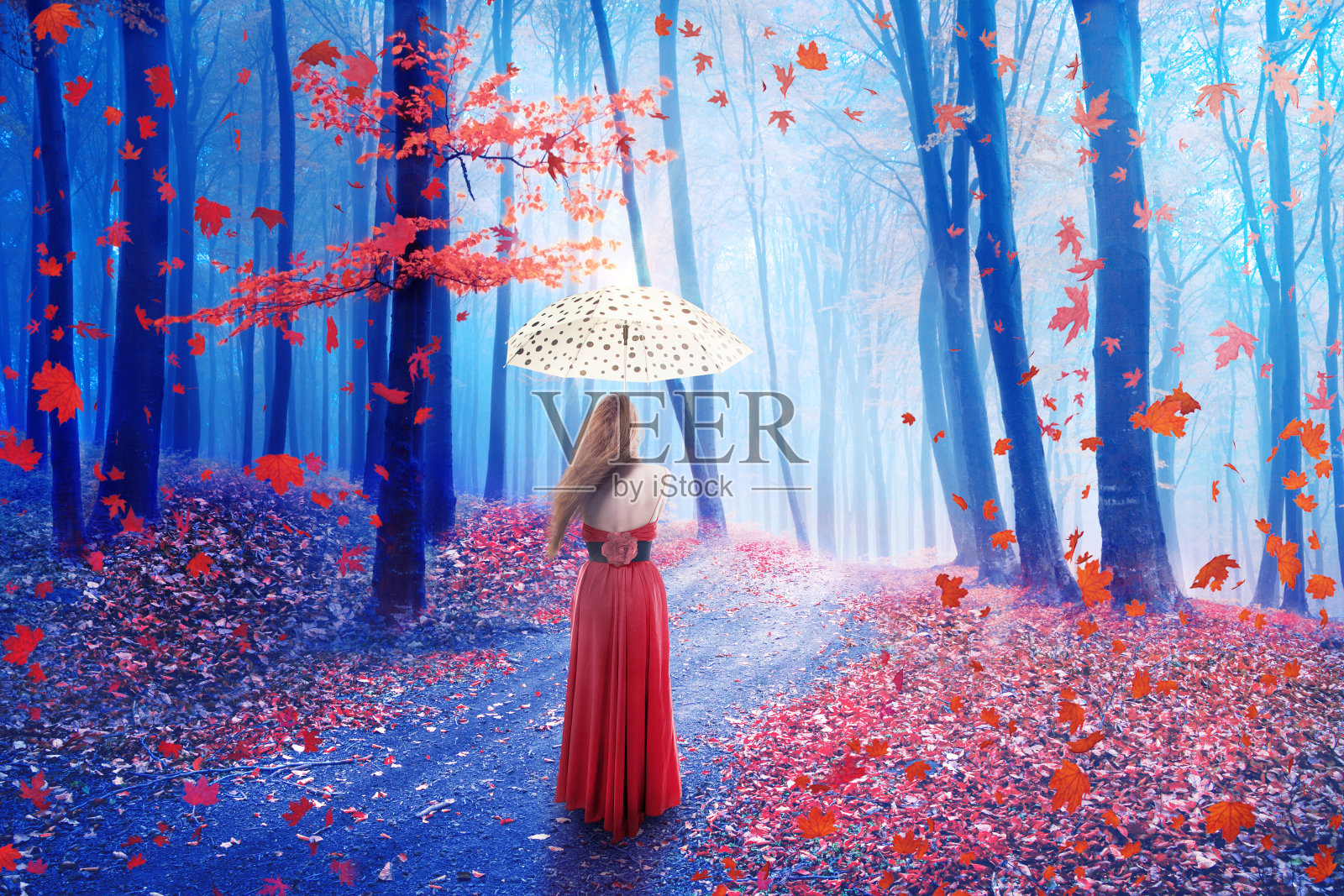 幻想寂寞的女人撑着伞在森林里走照片摄影图片