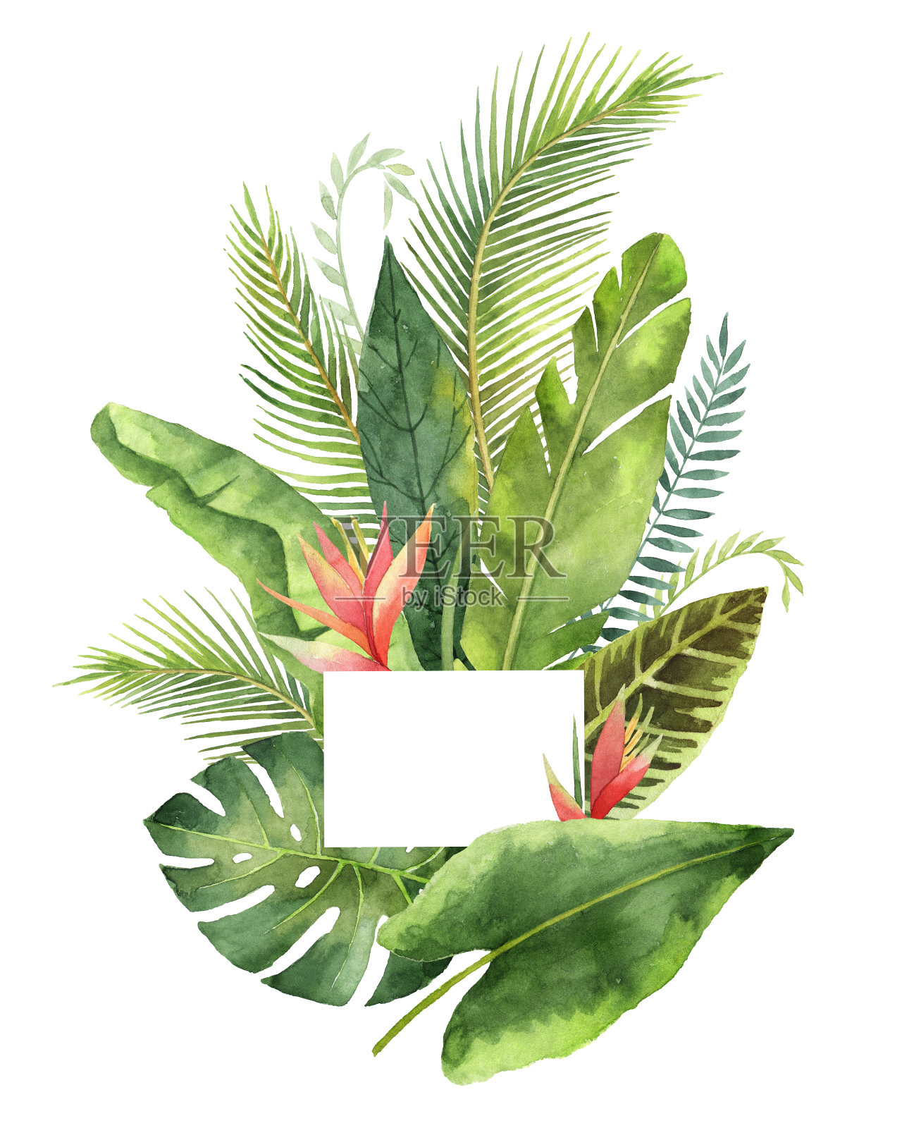 水彩花束，热带树叶和树枝孤立在白色背景上。插画图片素材