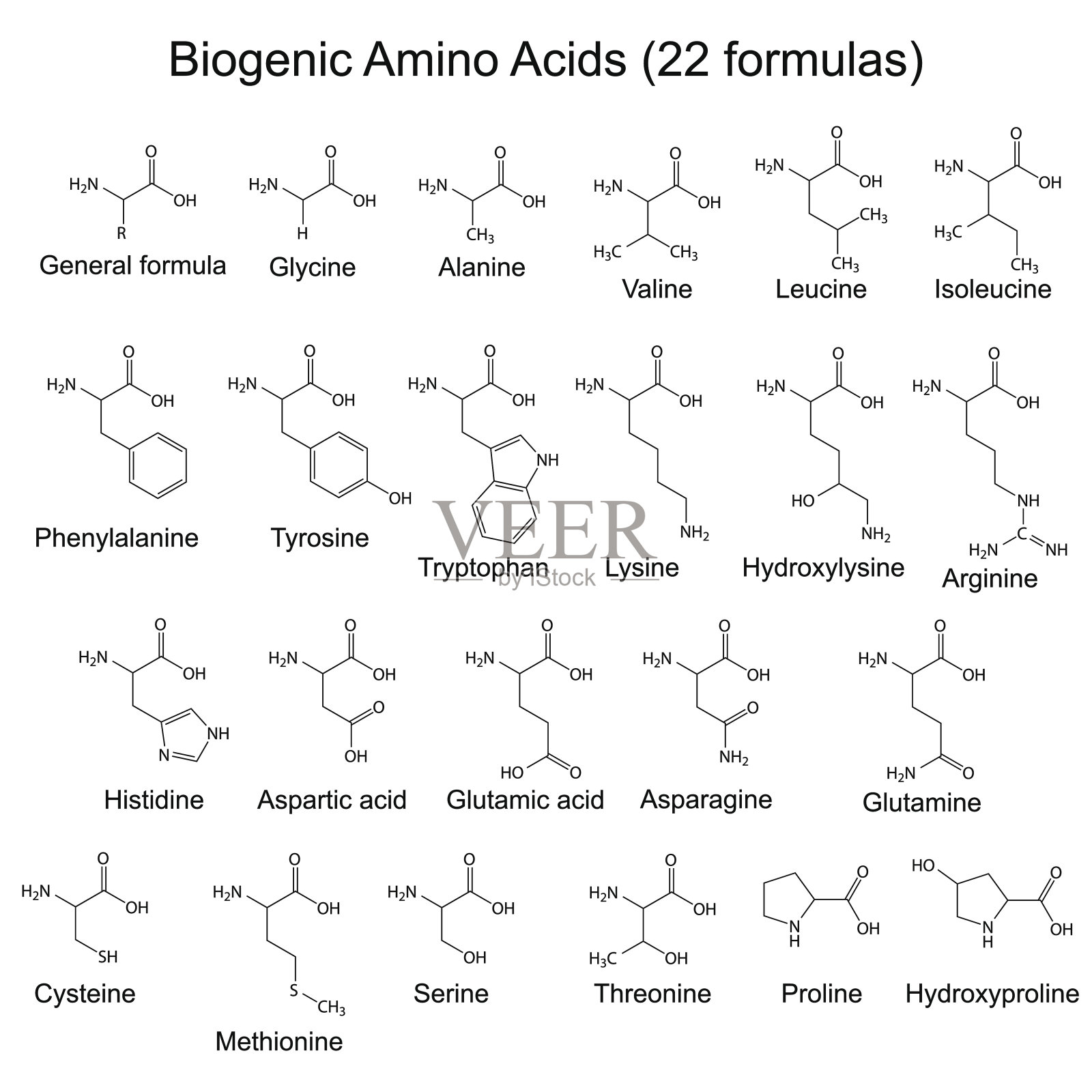 22种生物氨基酸-化学式插画图片素材