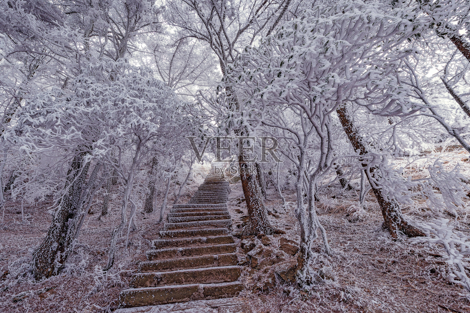 黄山国家公园冬季日出景观。照片摄影图片