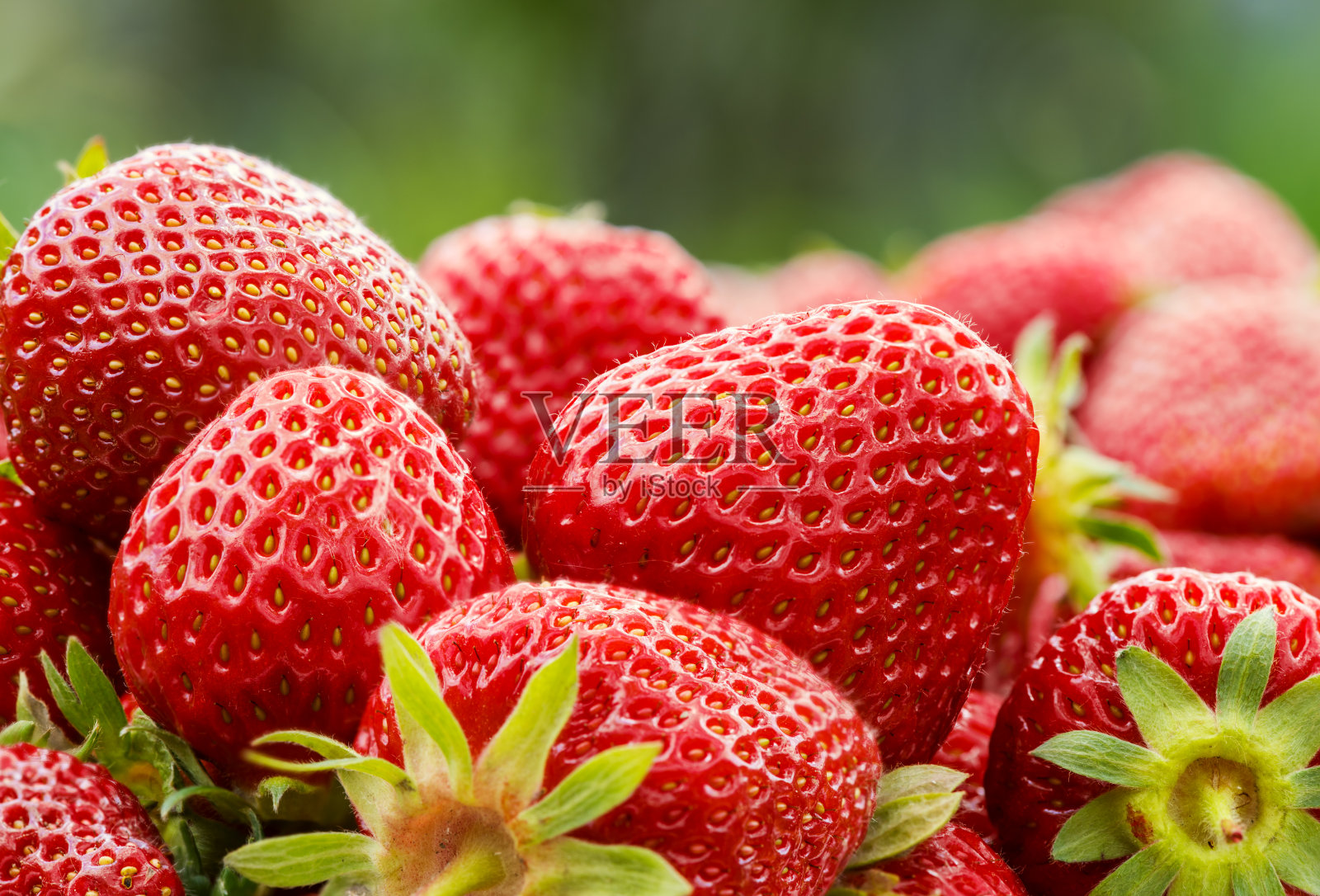 新鲜草莓特写，时令健康食品照片摄影图片