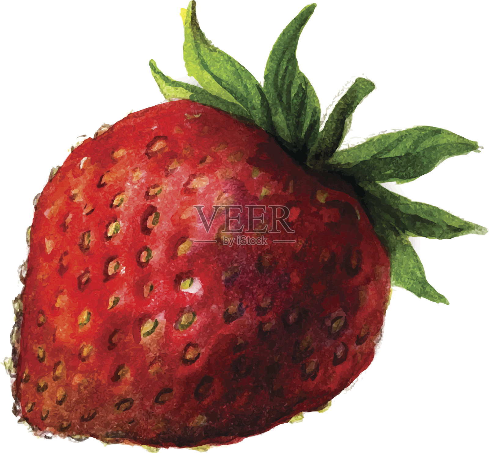 水彩草莓孤立设计元素图片