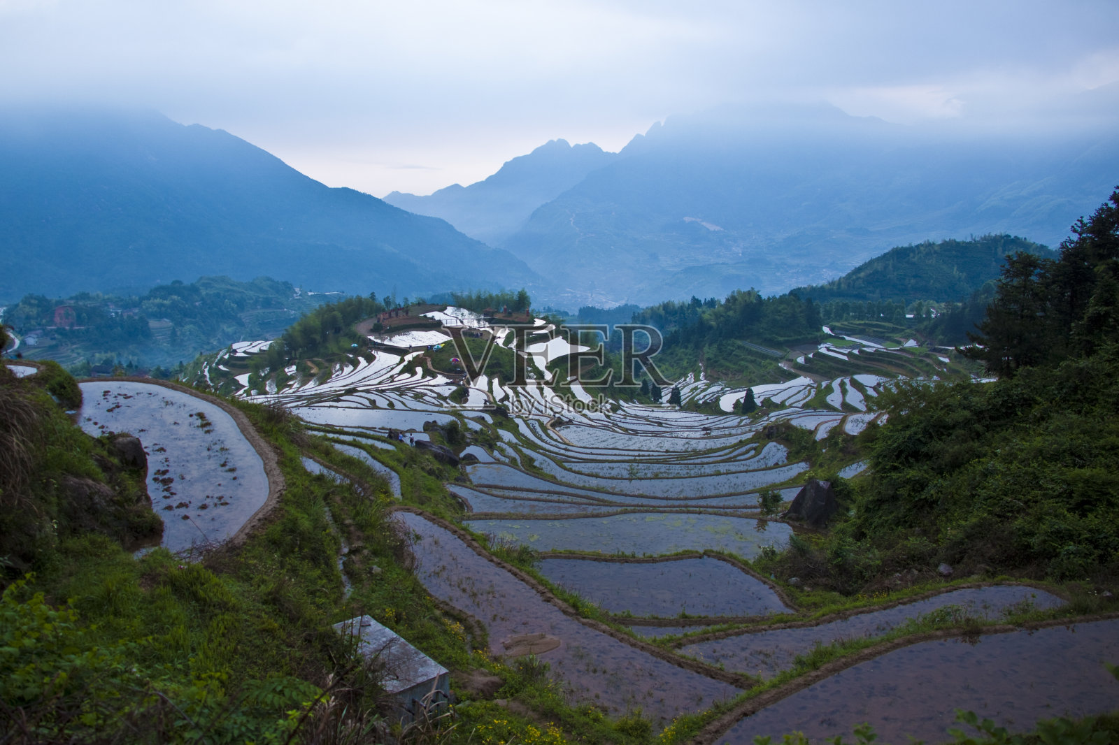 景观:美丽的梯田，云河，丽水，中国照片摄影图片