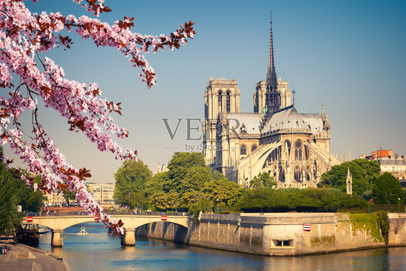 春天的巴黎圣母院照片摄影图片