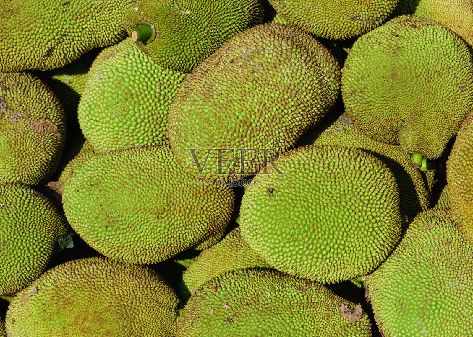 成熟的菠萝蜜出售照片摄影图片