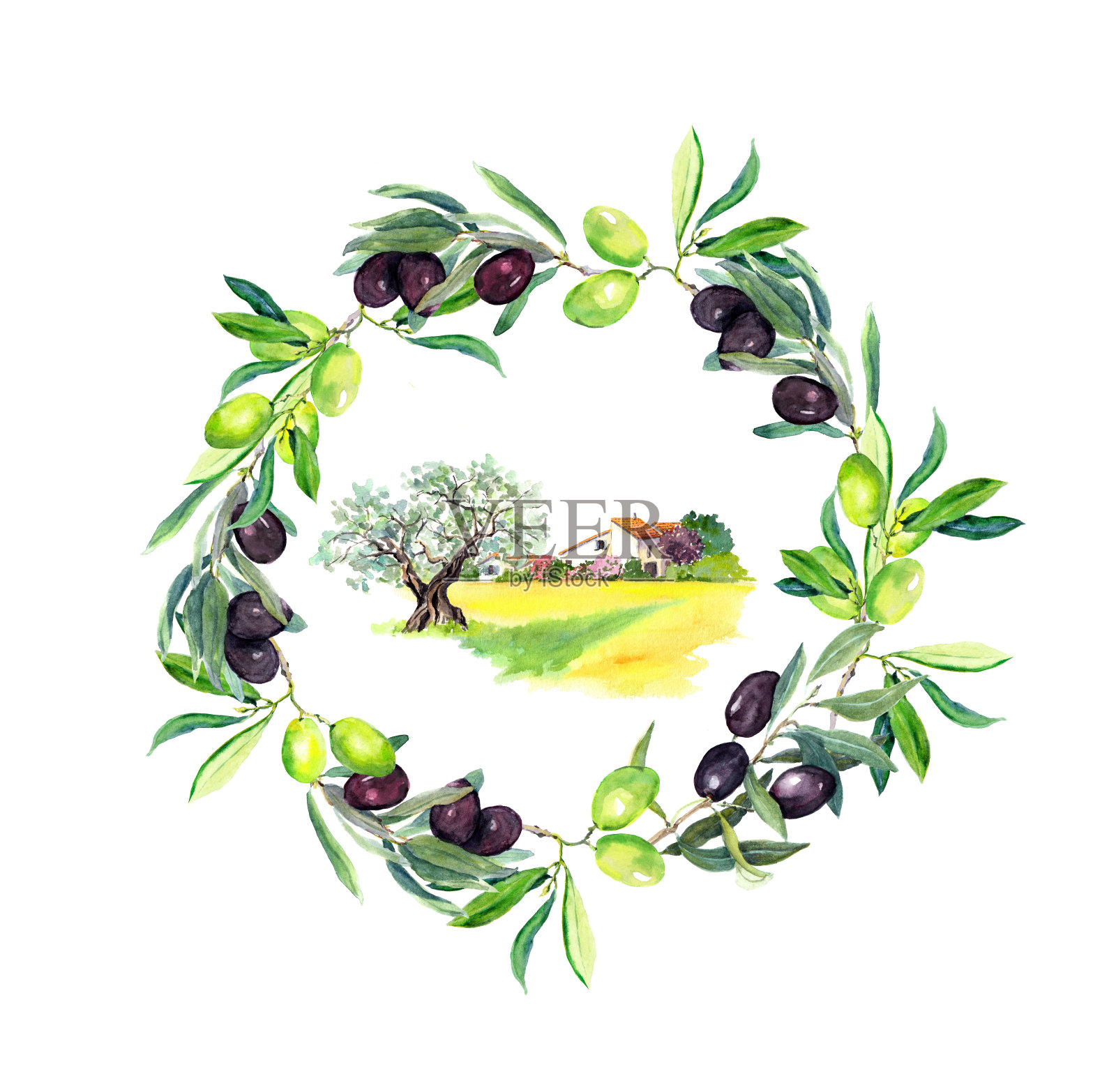 法国普罗旺斯的橄榄枝、橄榄树和乡村农舍。圆的花环。水彩插画图片素材
