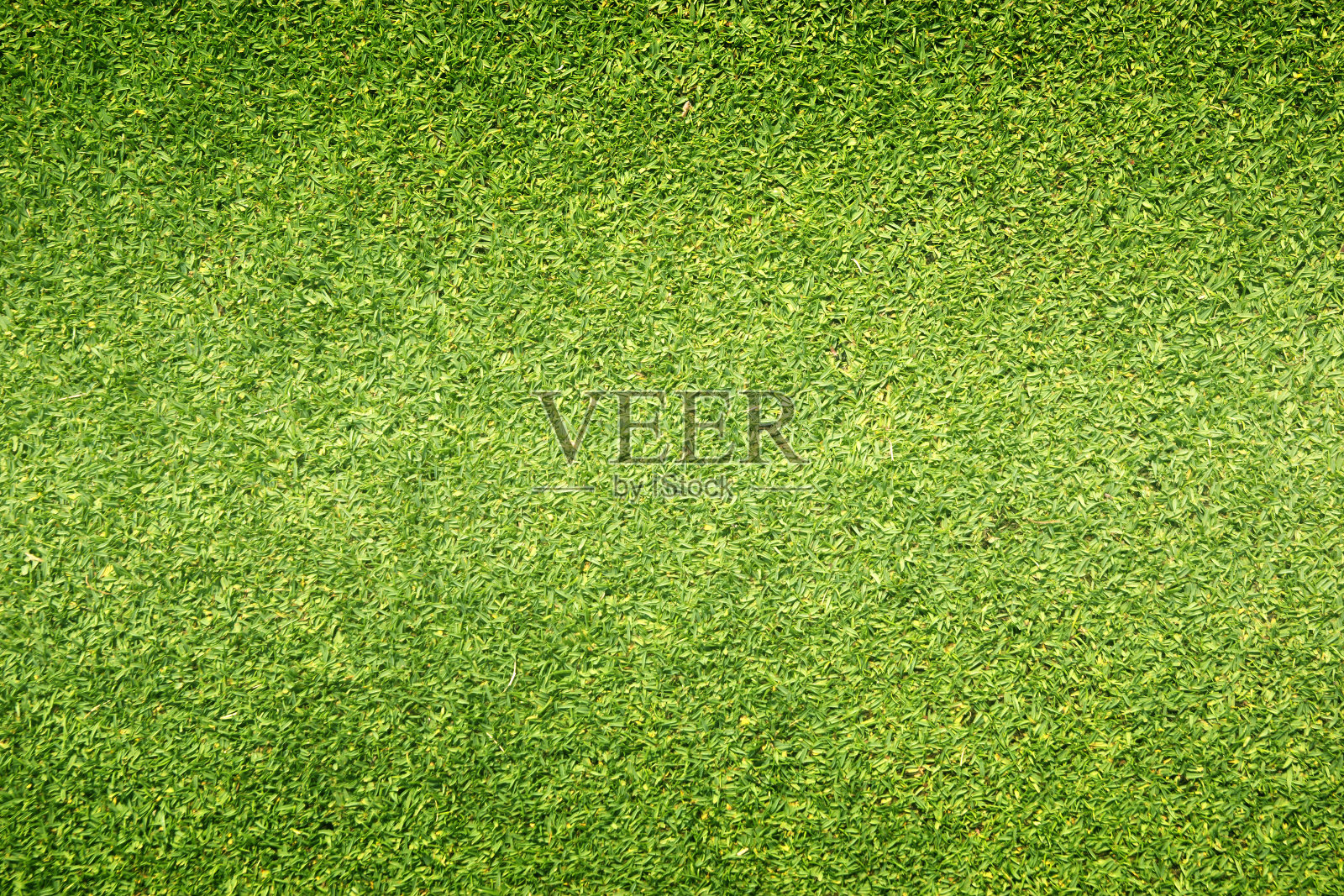 草地背景高尔夫球场绿色草坪插画图片素材