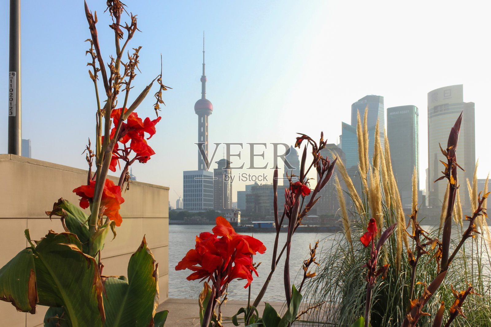 黄浦江上的上海天际线照片摄影图片