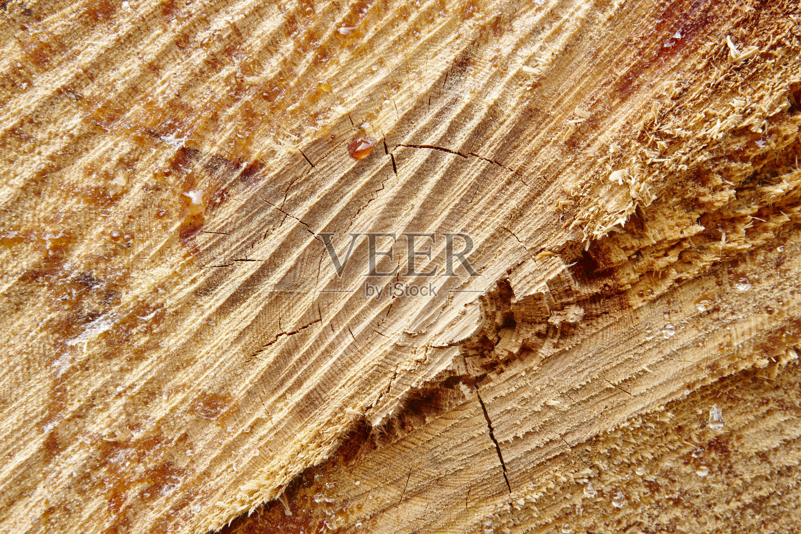 木材切割纹理细节与树脂滴。木头的背景照片摄影图片