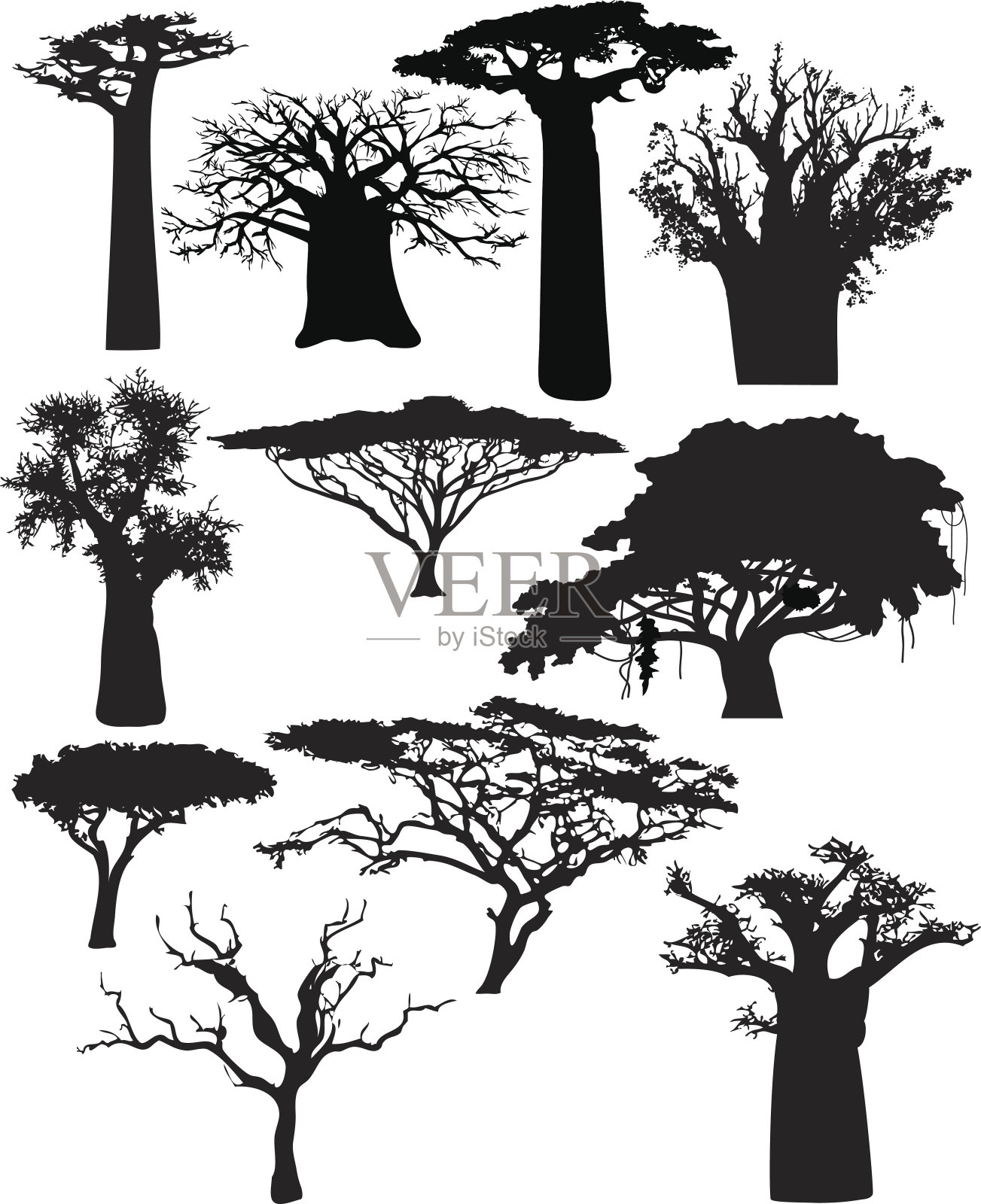 各种非洲树木和灌木插画图片素材