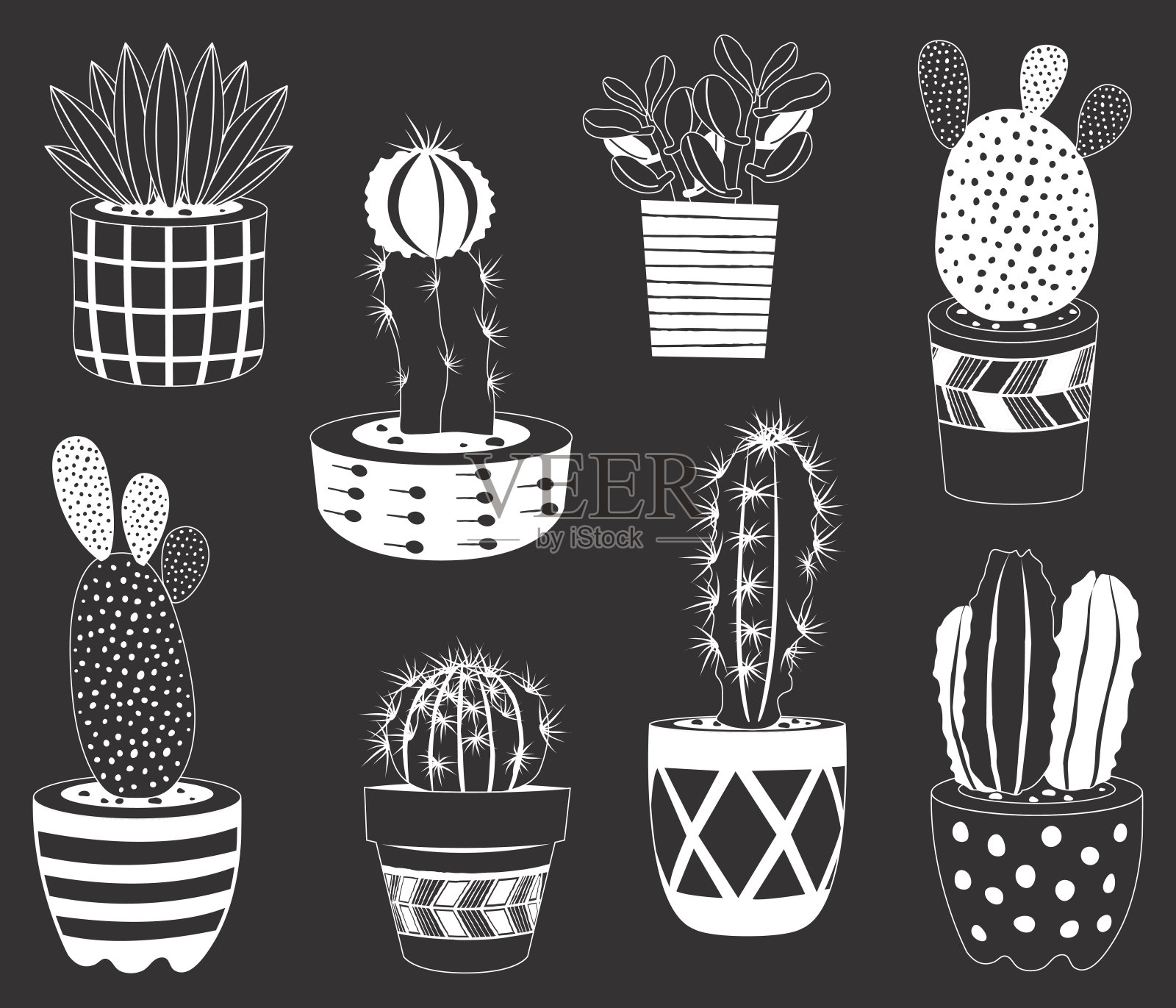 黑板仙人掌盆栽植物元素插画图片素材