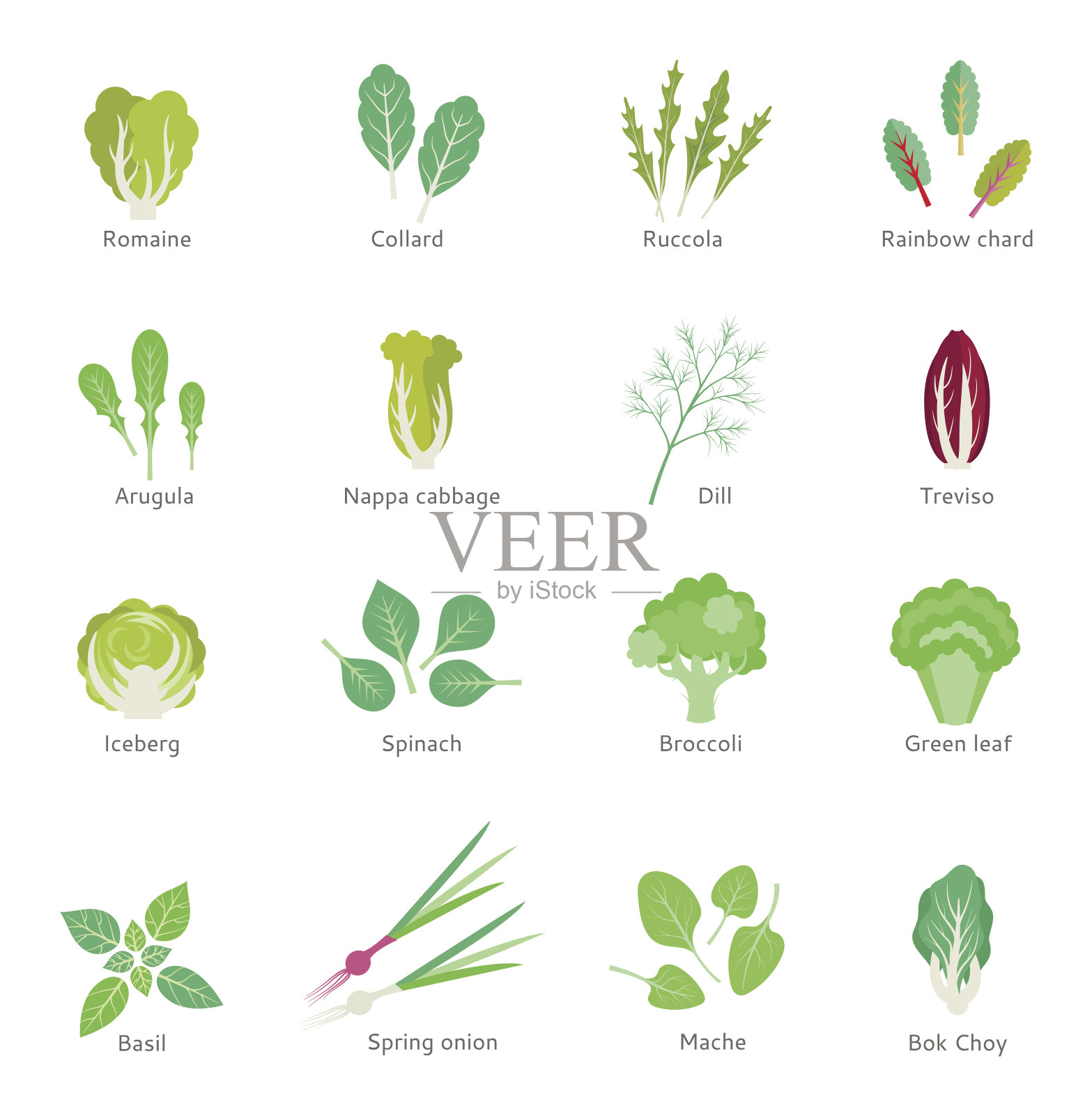 叶蔬菜矢量平面图标设置。插画图片素材