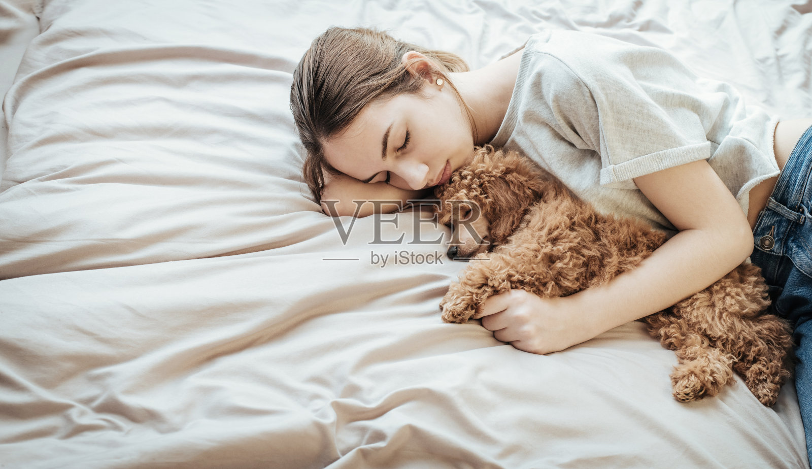 年轻女子躺在床上和狮子狗睡觉。照片摄影图片
