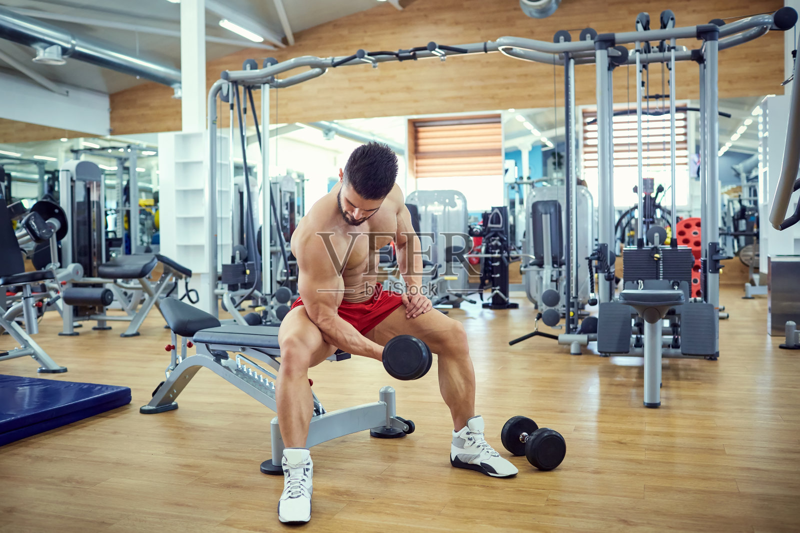 健美运动员在健身房用哑铃锻炼照片摄影图片