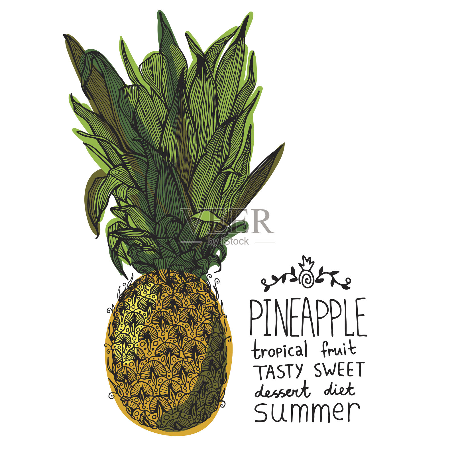 甜热带水果菠萝插画图片素材