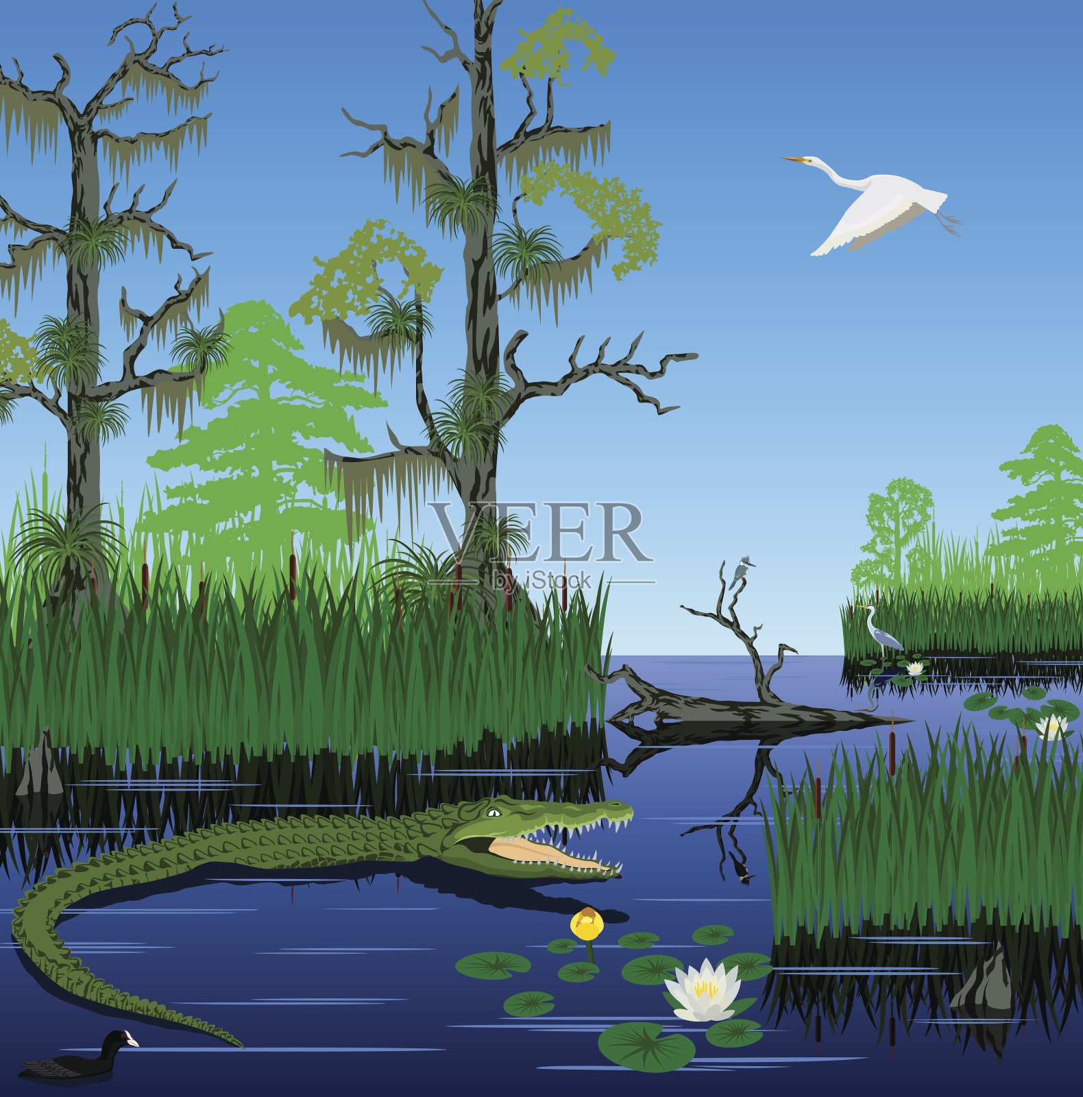载体湿地潘塔纳尔佛罗里达大沼泽地景观插画图片素材
