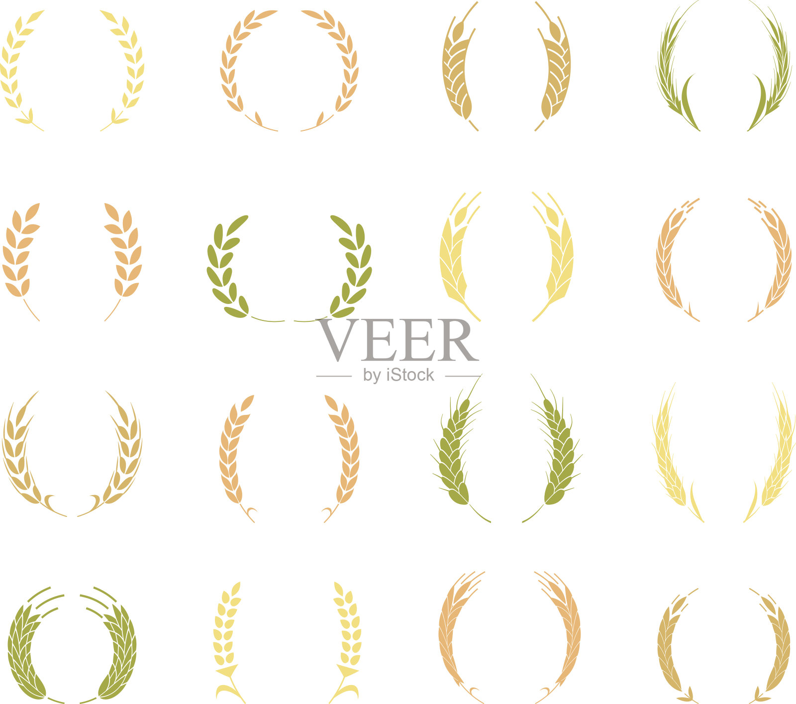 金月桂花环——胜利者的象征。小麦穗或水稻图标设置。插画图片素材