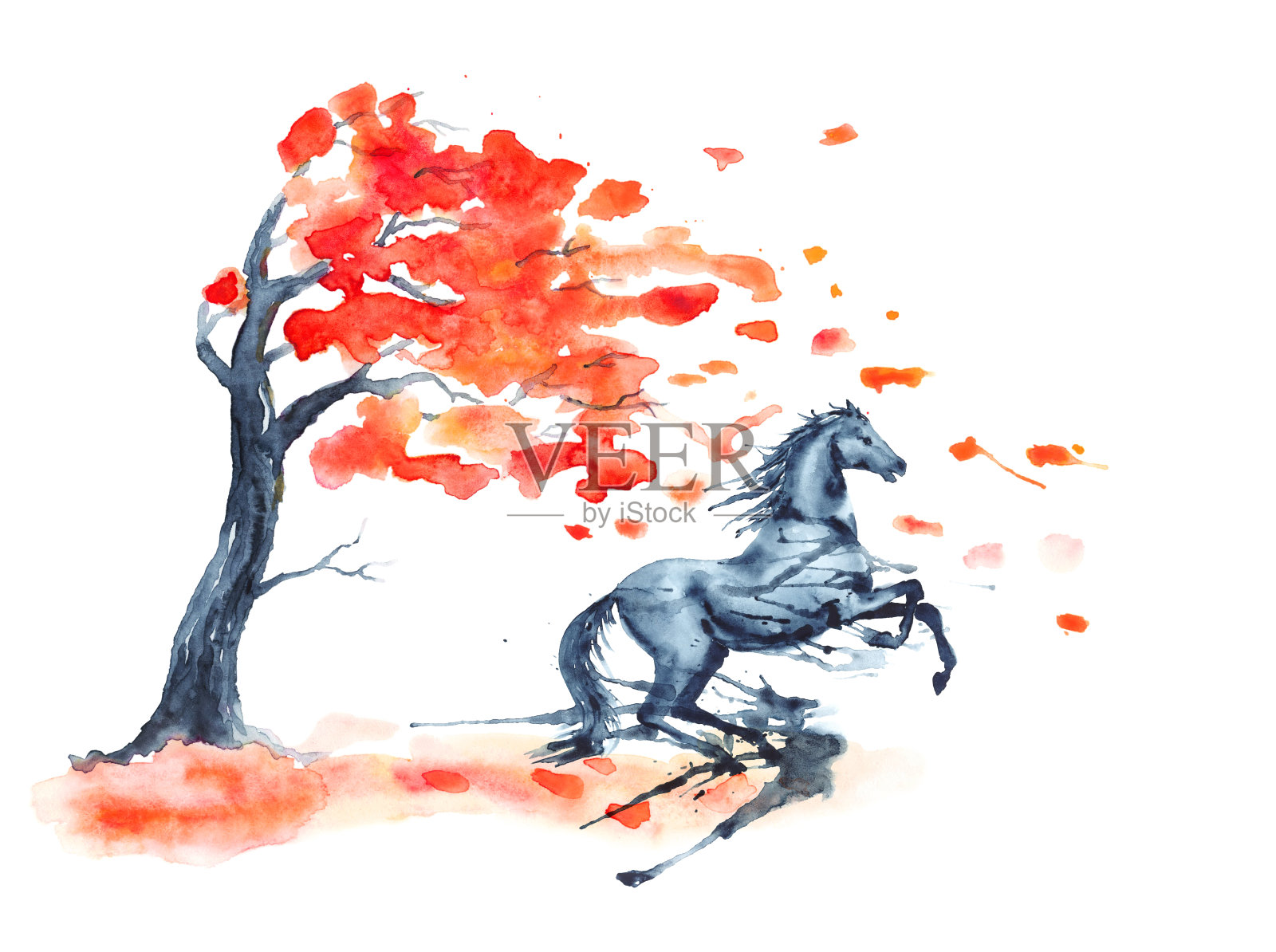 湿水彩养马与墨迹污点秋天树与红色的落叶在白色。插画图片素材