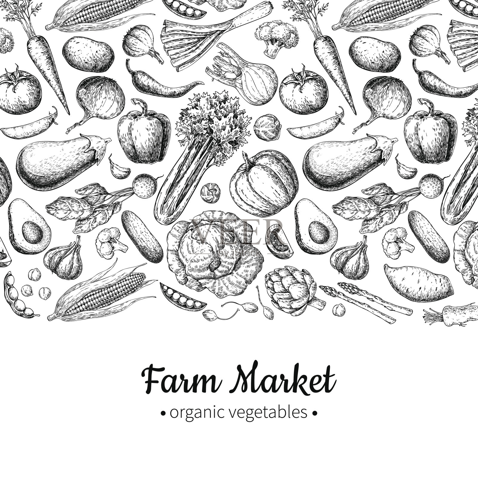 蔬菜手绘复古矢量插图。农业市场的海报。插画图片素材