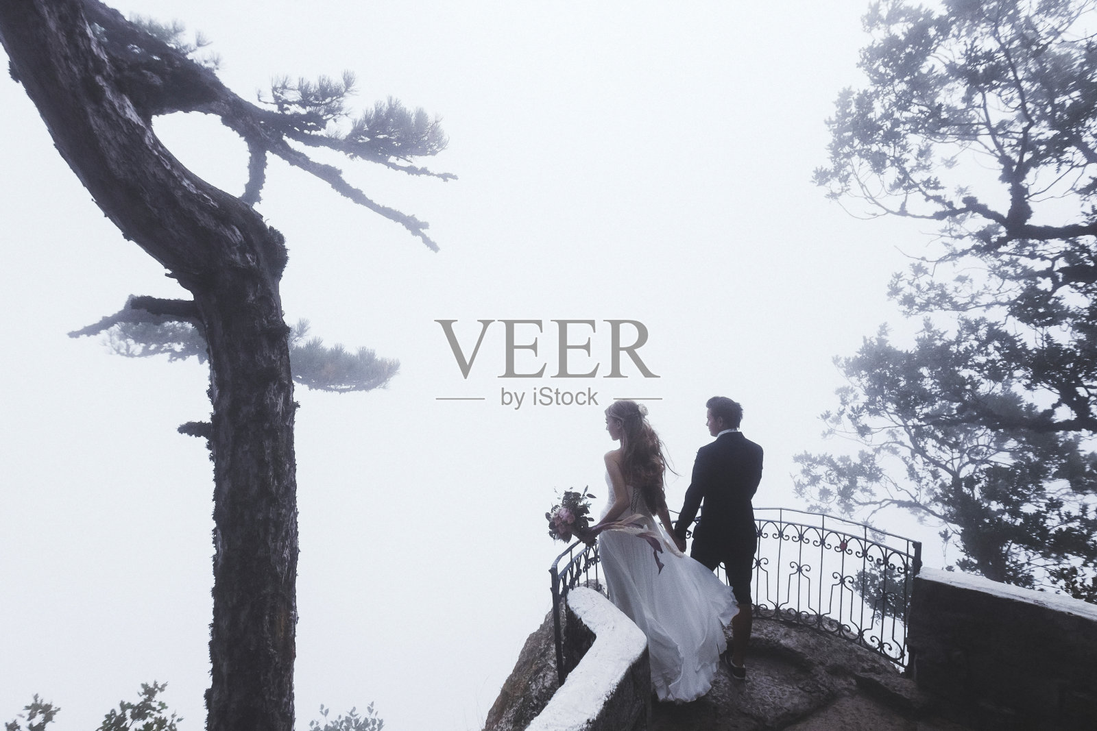 婚礼在一个神秘的森林。新婚燕尔走在雾里，秋的心情照片摄影图片