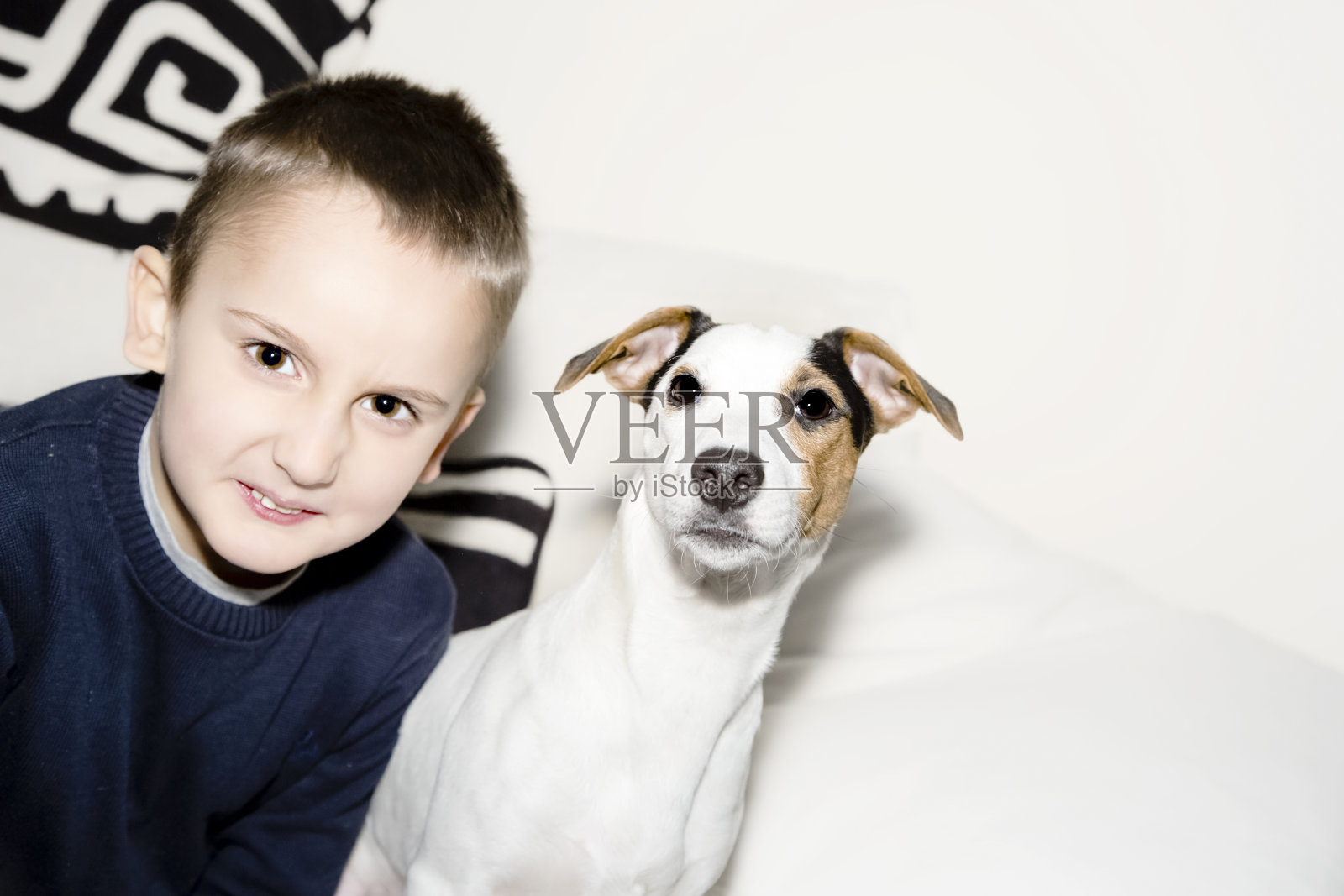 小男孩和他的狗坐在沙发上照片摄影图片