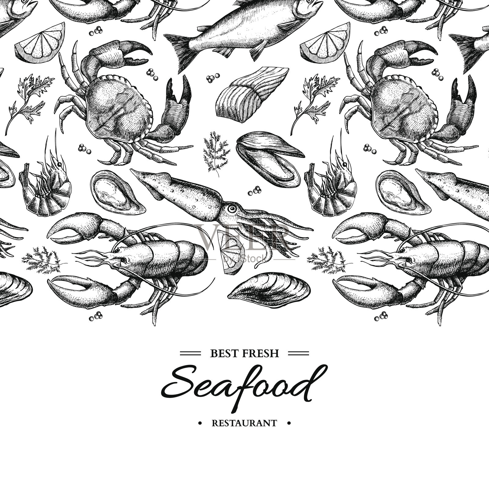 海产品手绘矢量框插图。蟹，龙虾，虾，牡蛎，贻贝，鱼子酱和鱿鱼。设计模板素材
