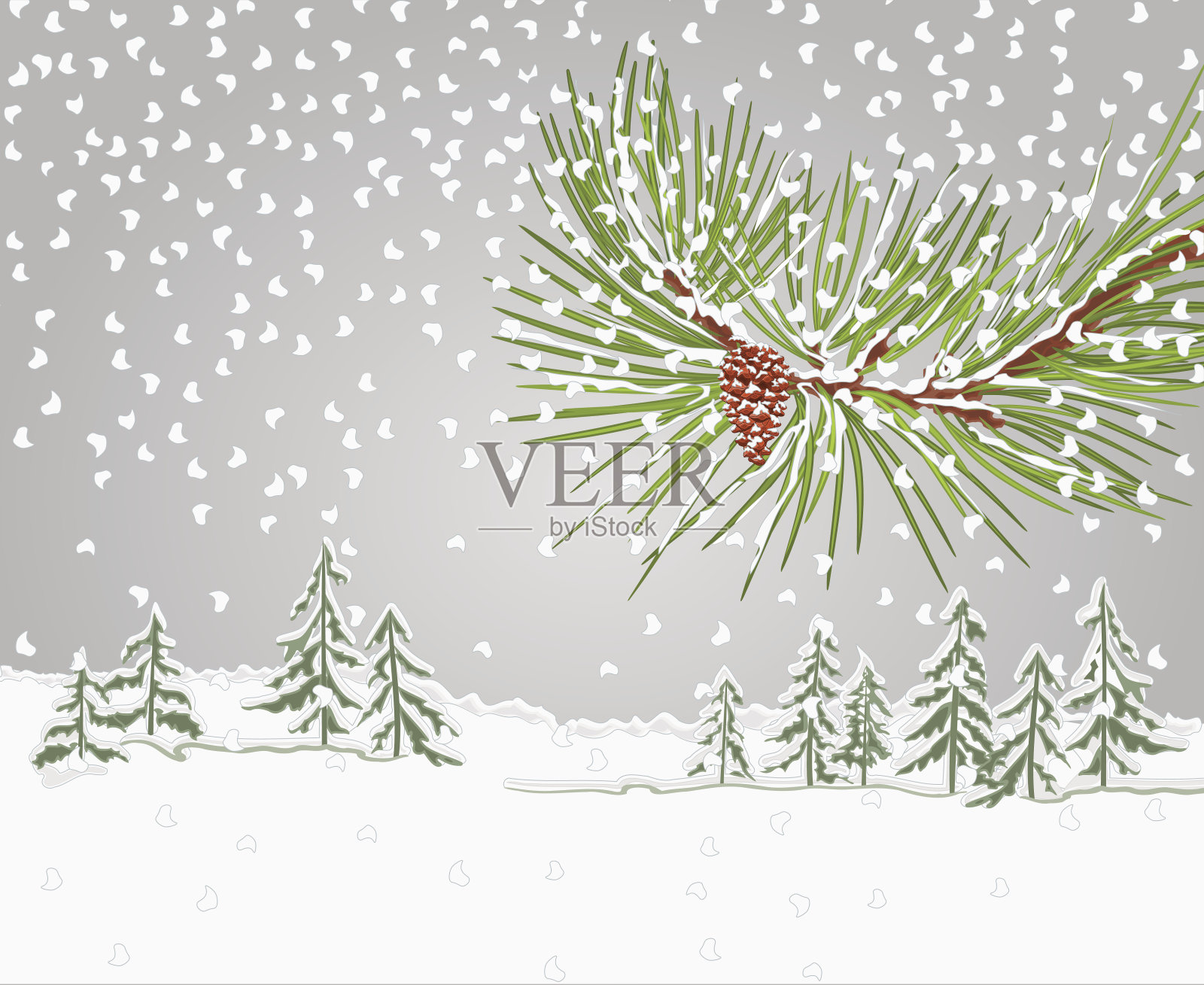 冬季松树枝以雪和松果为圣诞主题向量插画图片素材
