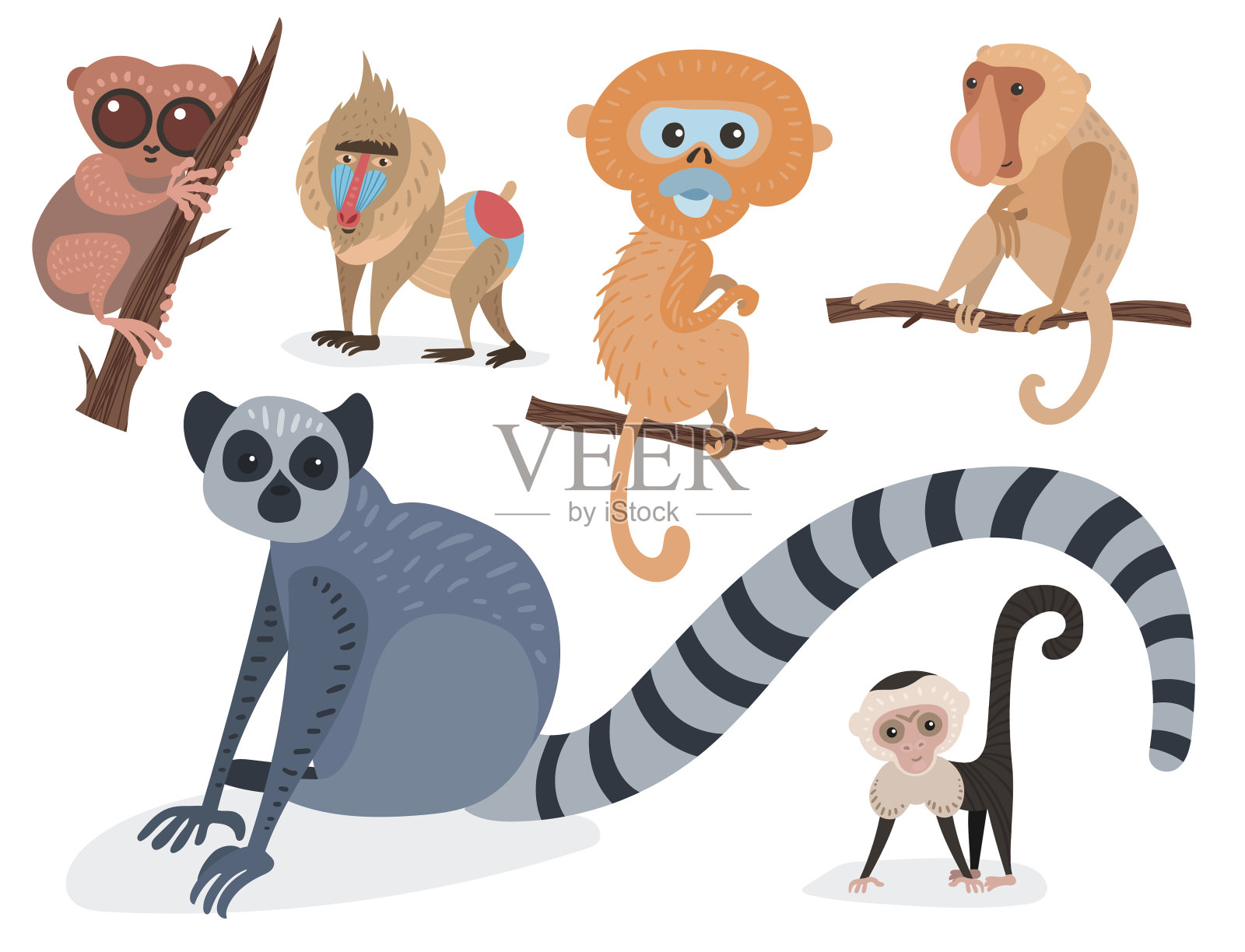 不同的面包猴子性格动物野生动物园猿黑猩猩矢量插图插画图片素材