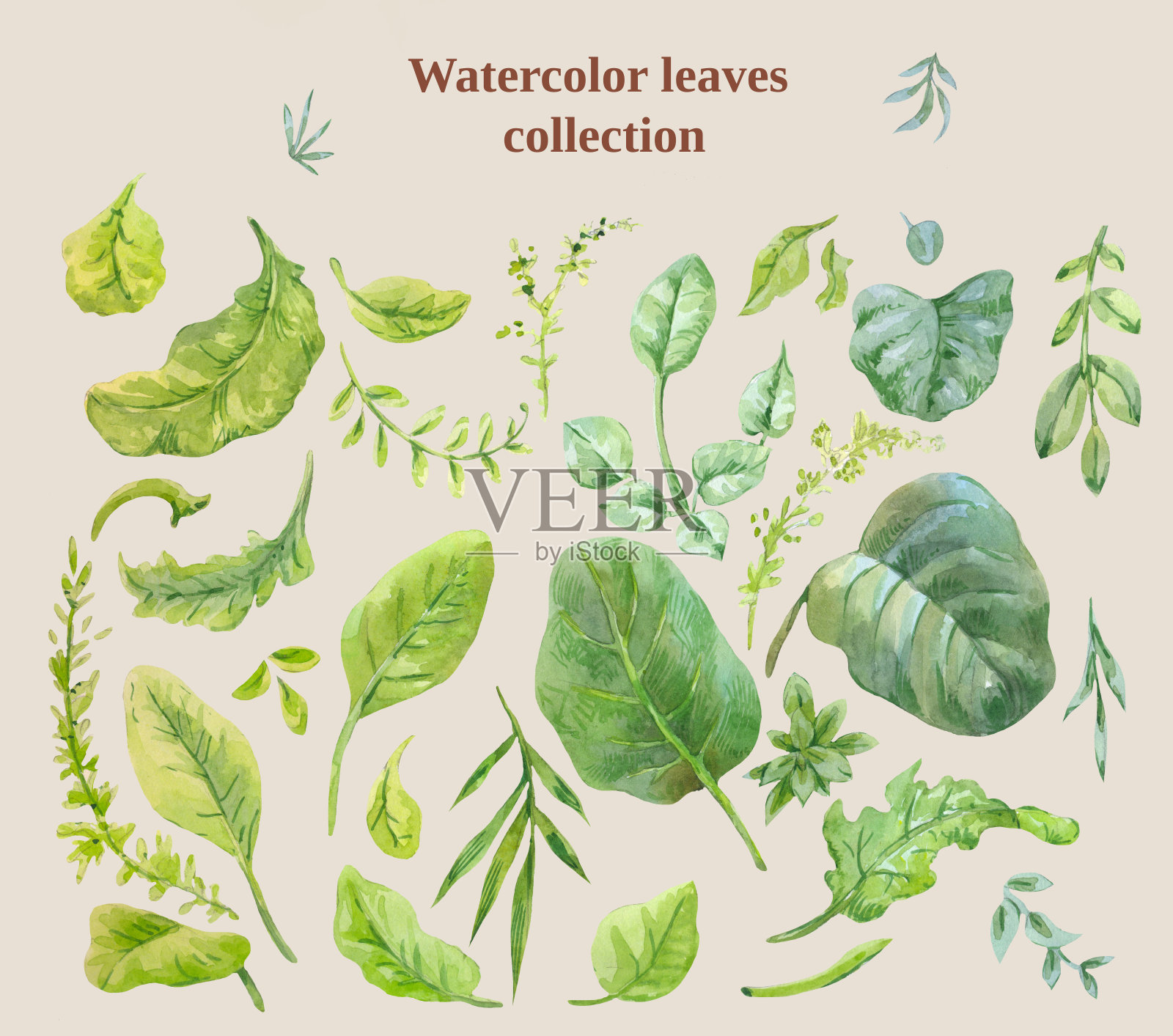 水彩收集树叶插画图片素材